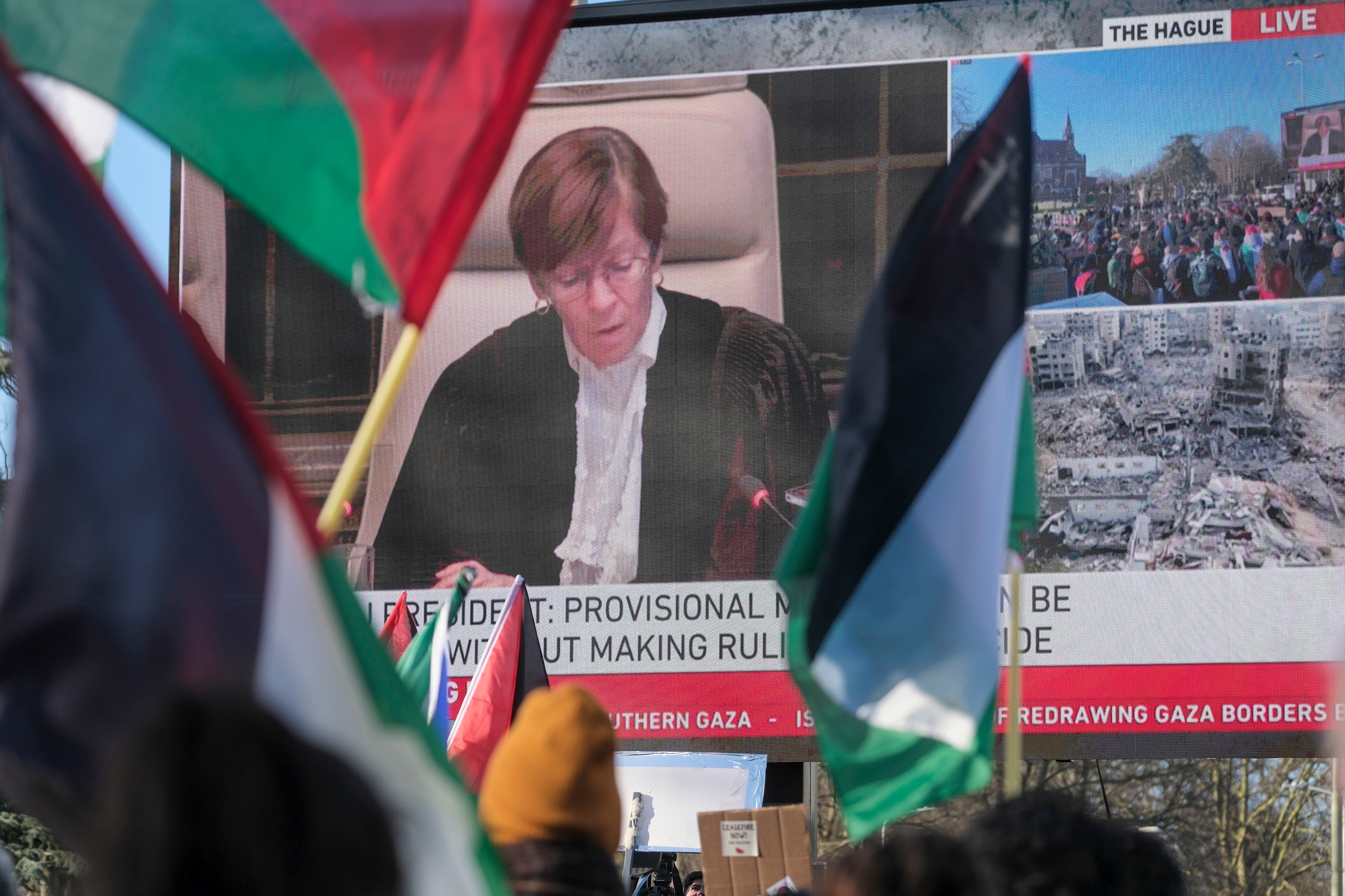 Pro-Palestinian activists wave flags during Friday’s session of the International Court of Justice