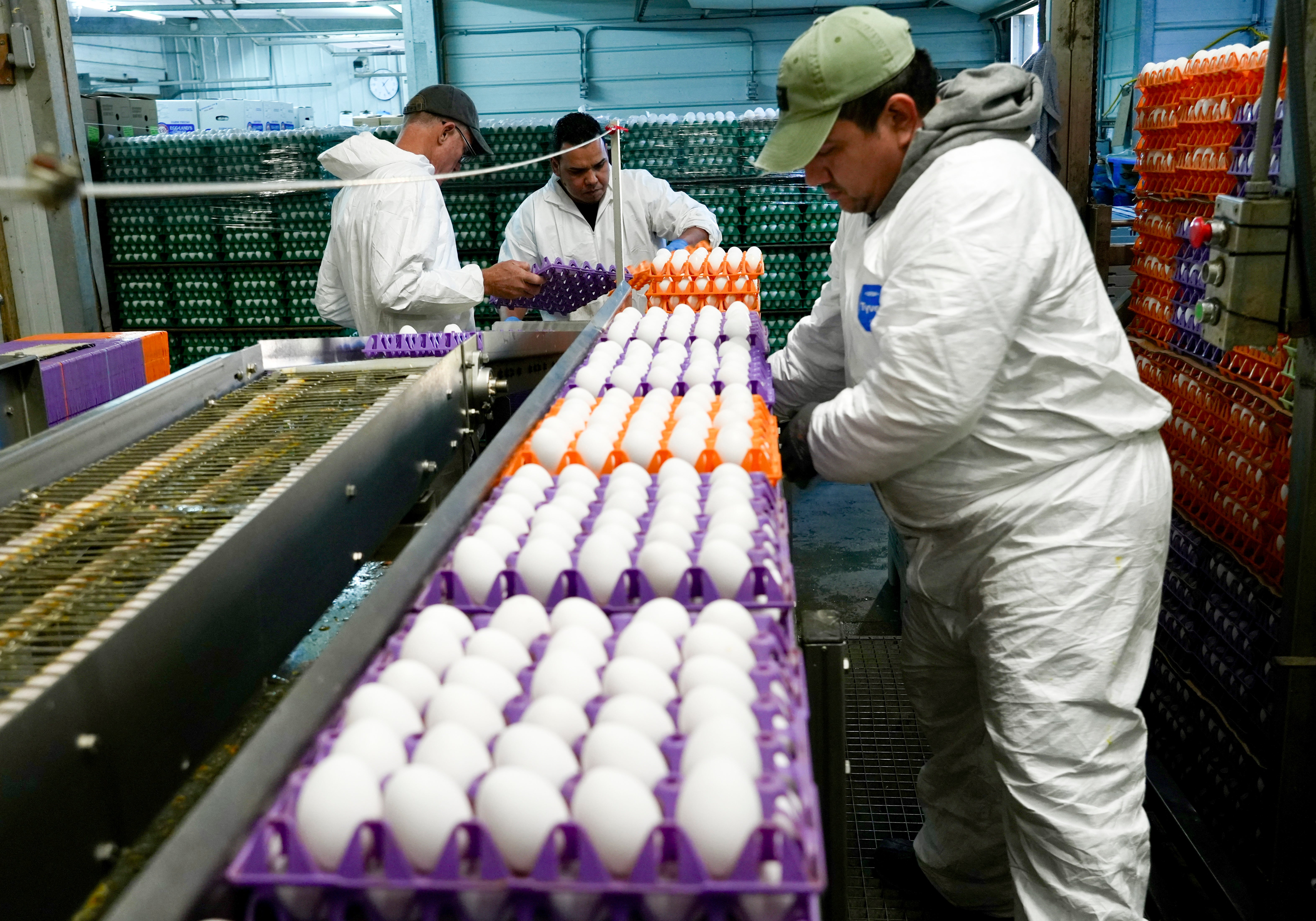 Avian Flu California
