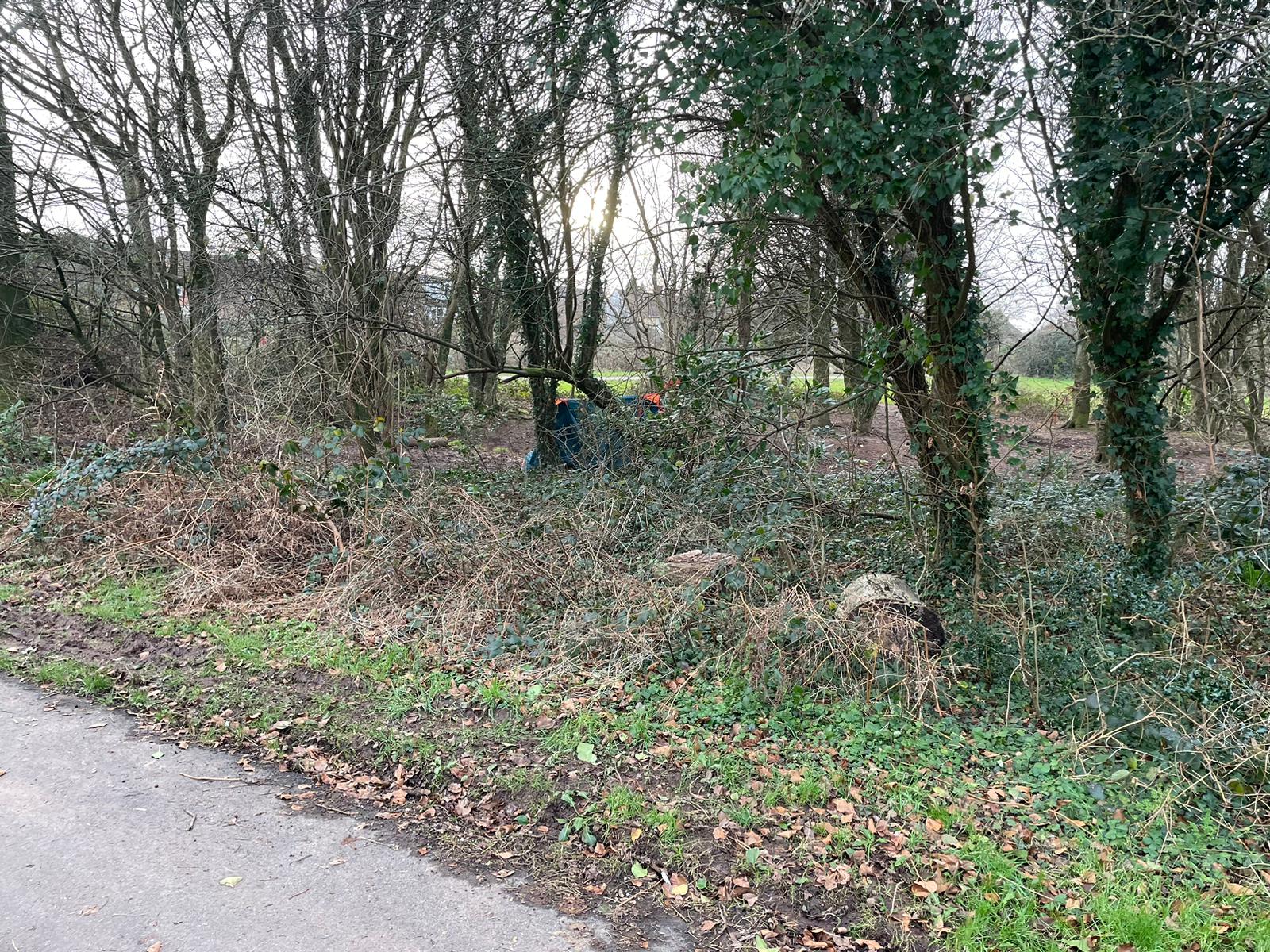 Chris’s tent can be seen through the bushes