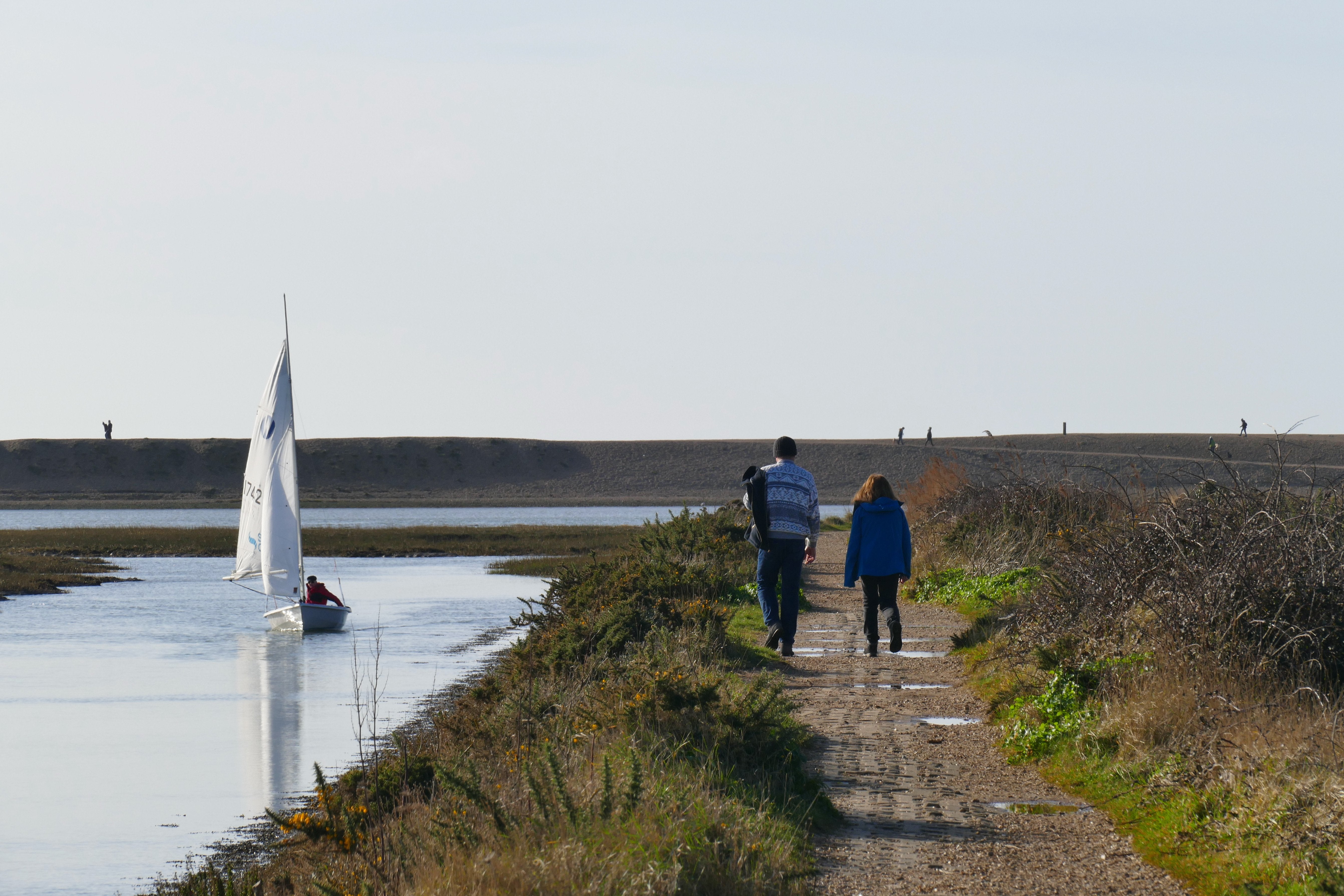 People walking in the New Forest enjoy the unseasonably balmy recent temperatures