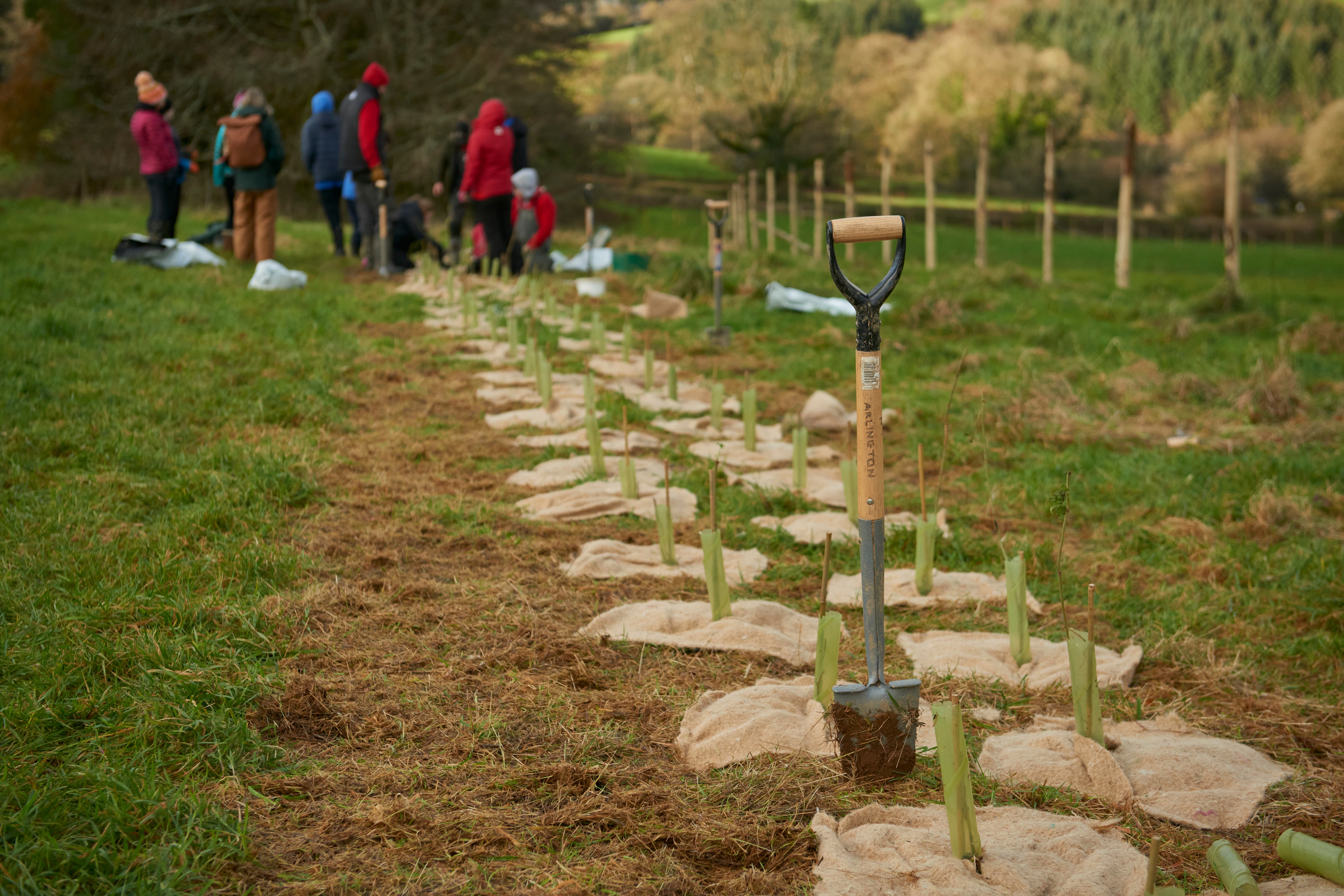 The project will involve local community groups (National Trust/PA)