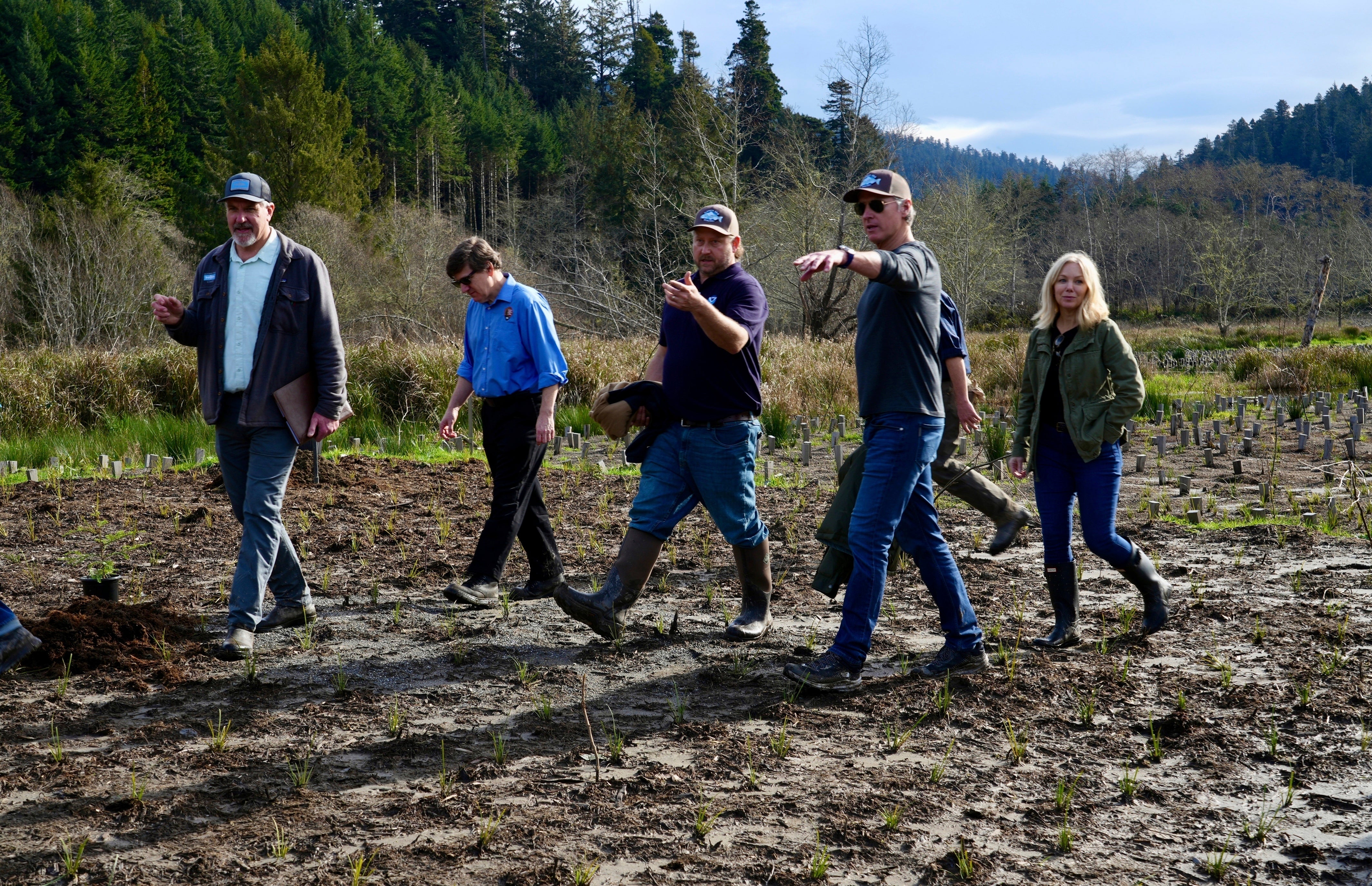 California Governor Salmon