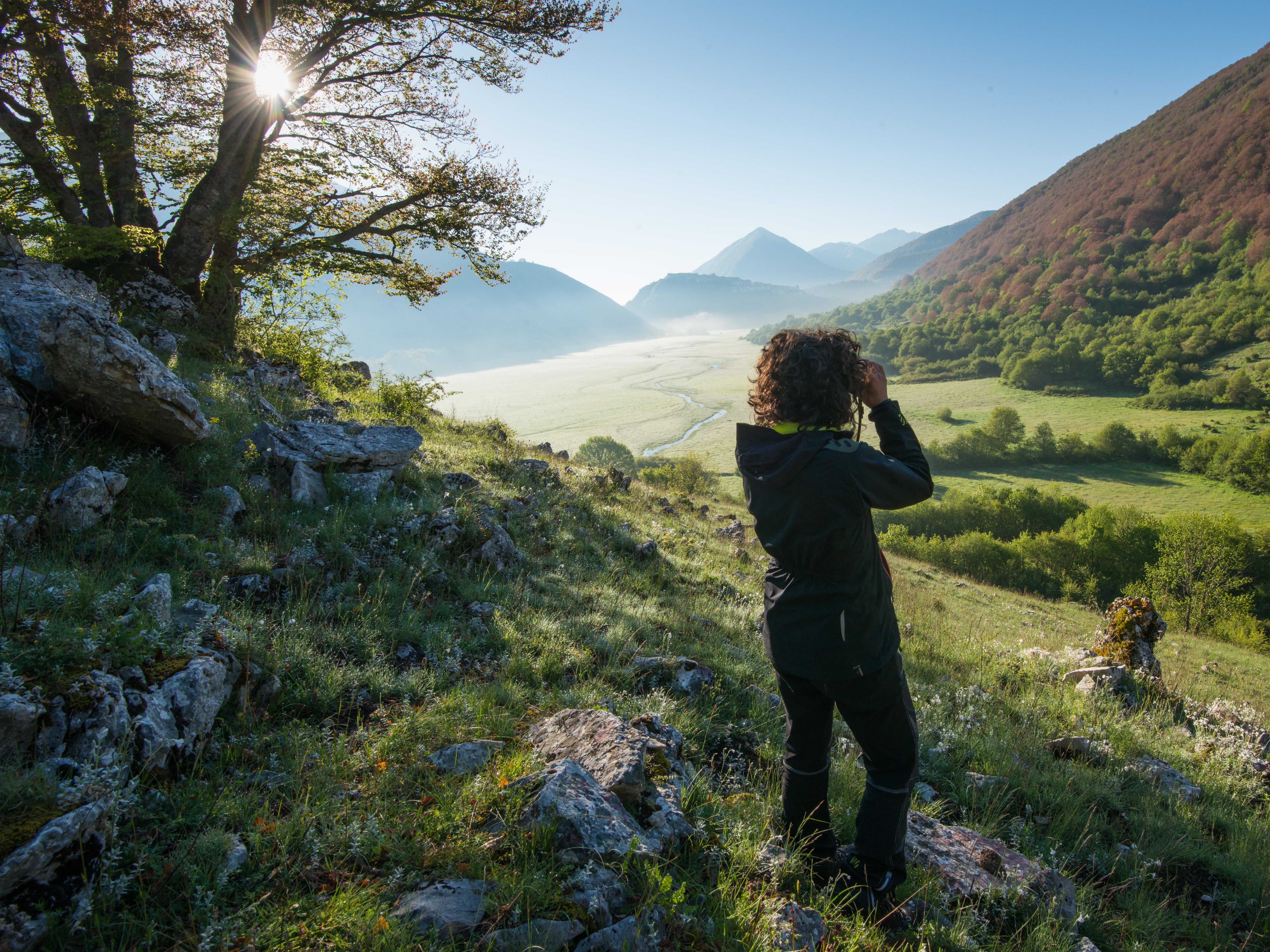 As rewilding gathers pace, there are more opportunities to spot secretive native creatures