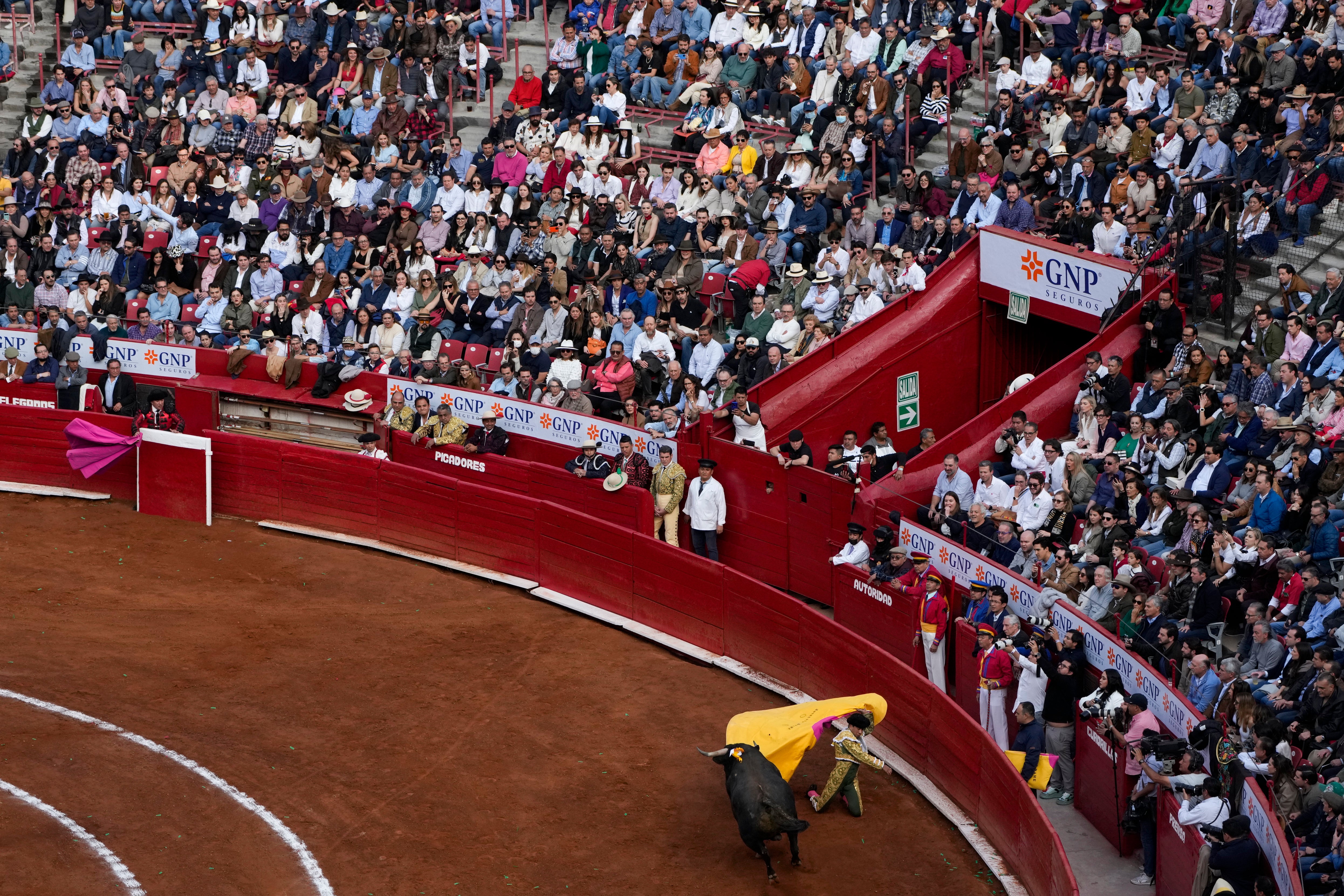 Mexico Bullfighting