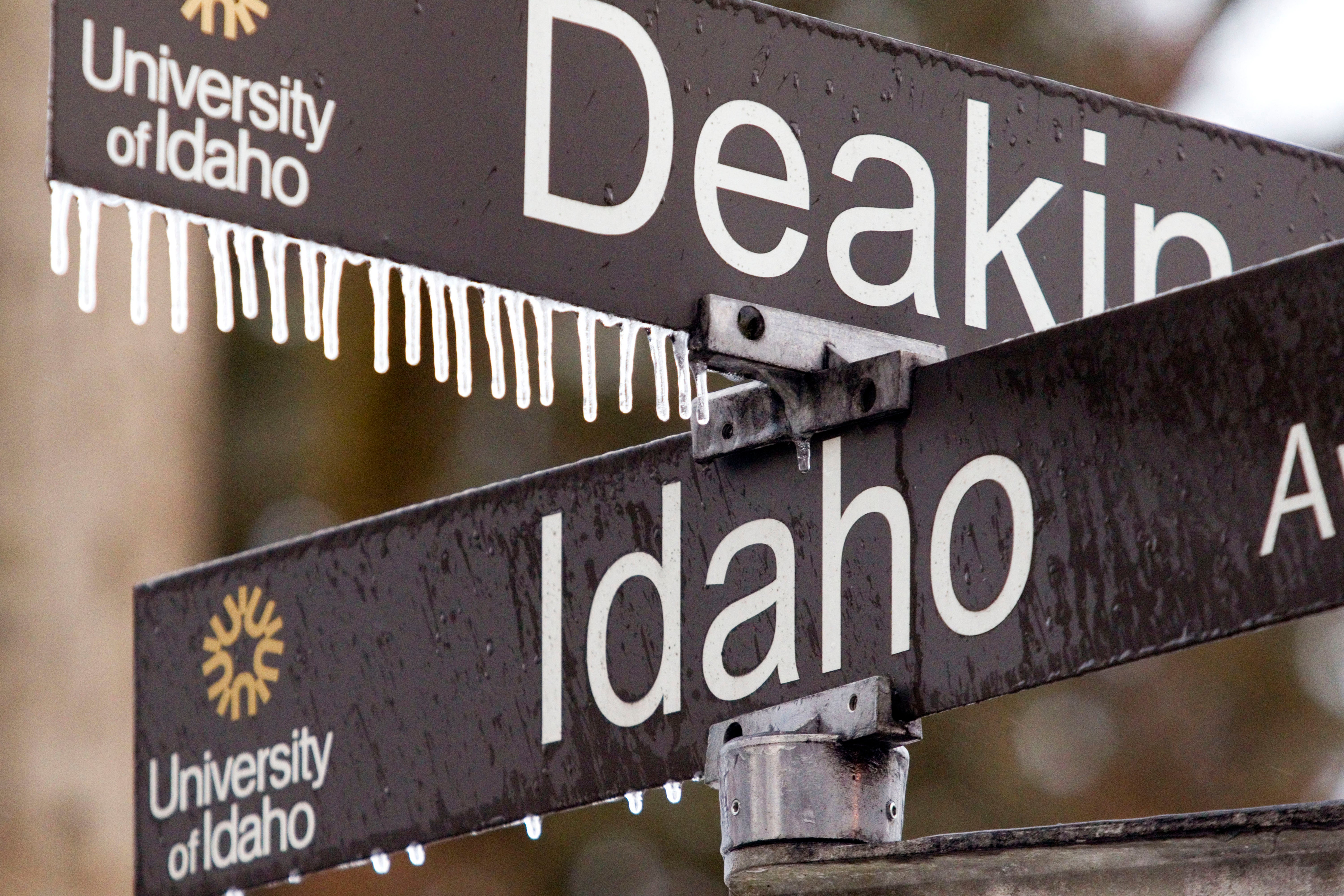 University of Idaho University of Phoenix