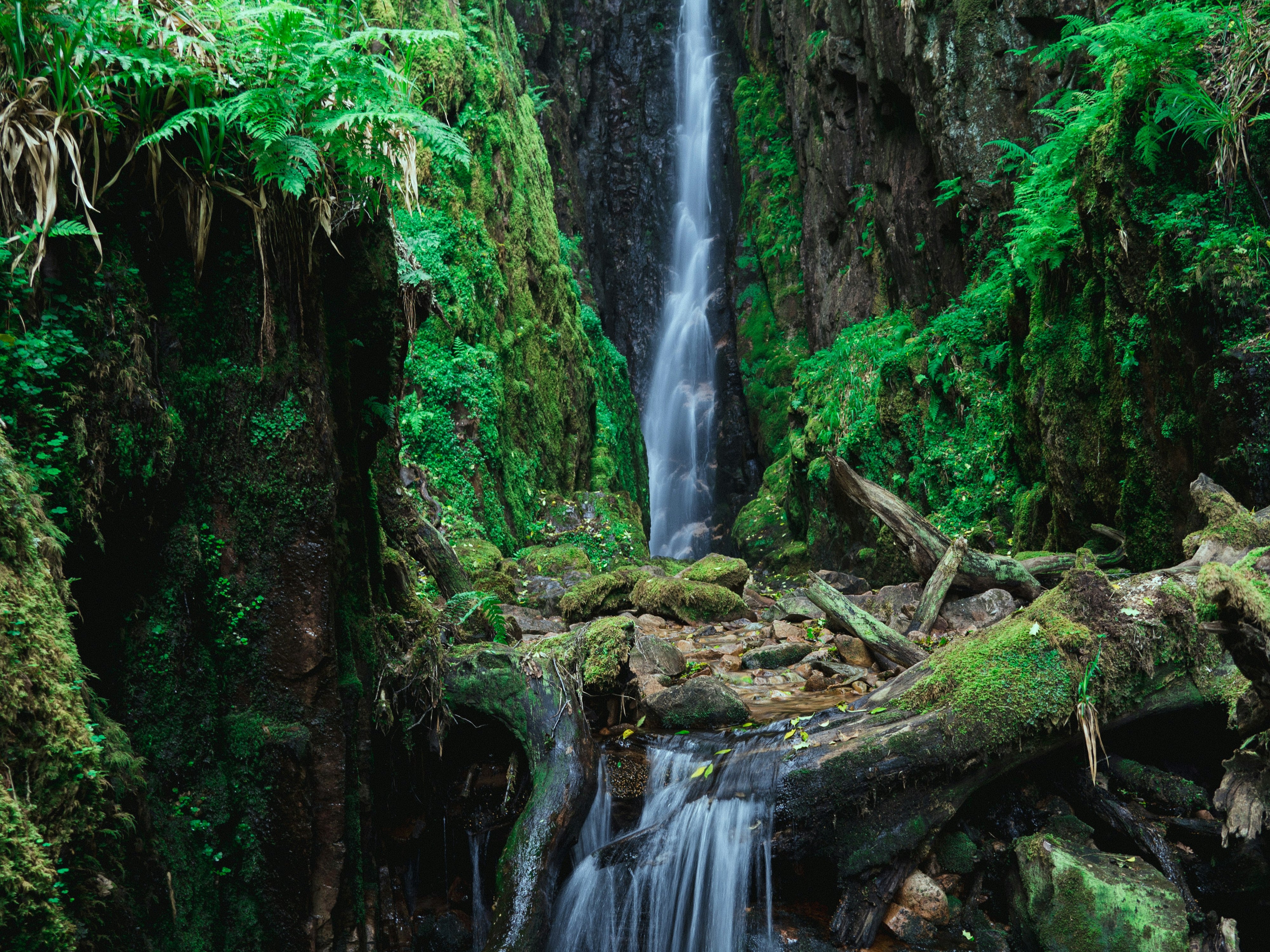 Watch the forces of Cumbria cascade this February