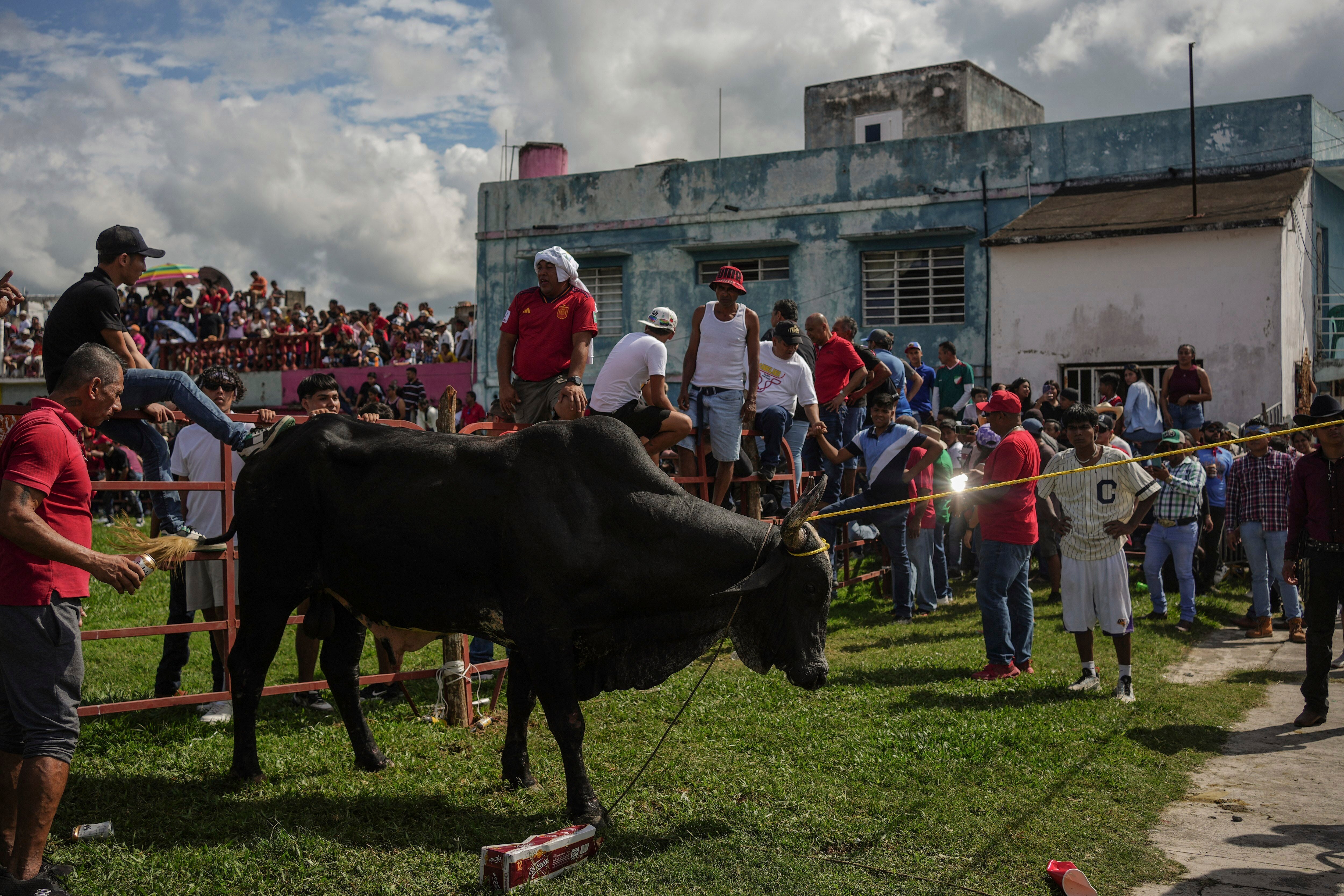 Mexico Running of Bulls