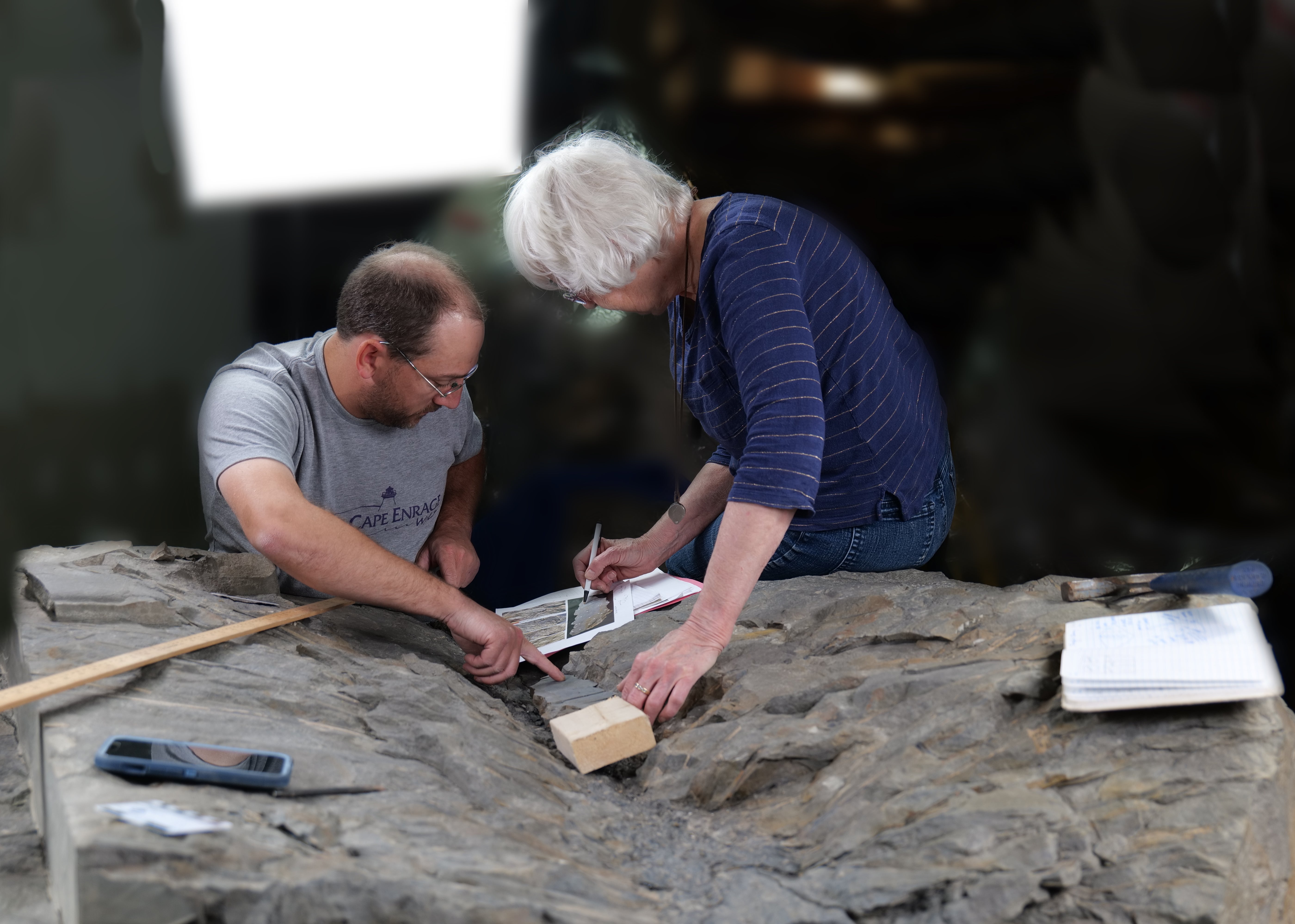 Researchers investigating the rare fossil