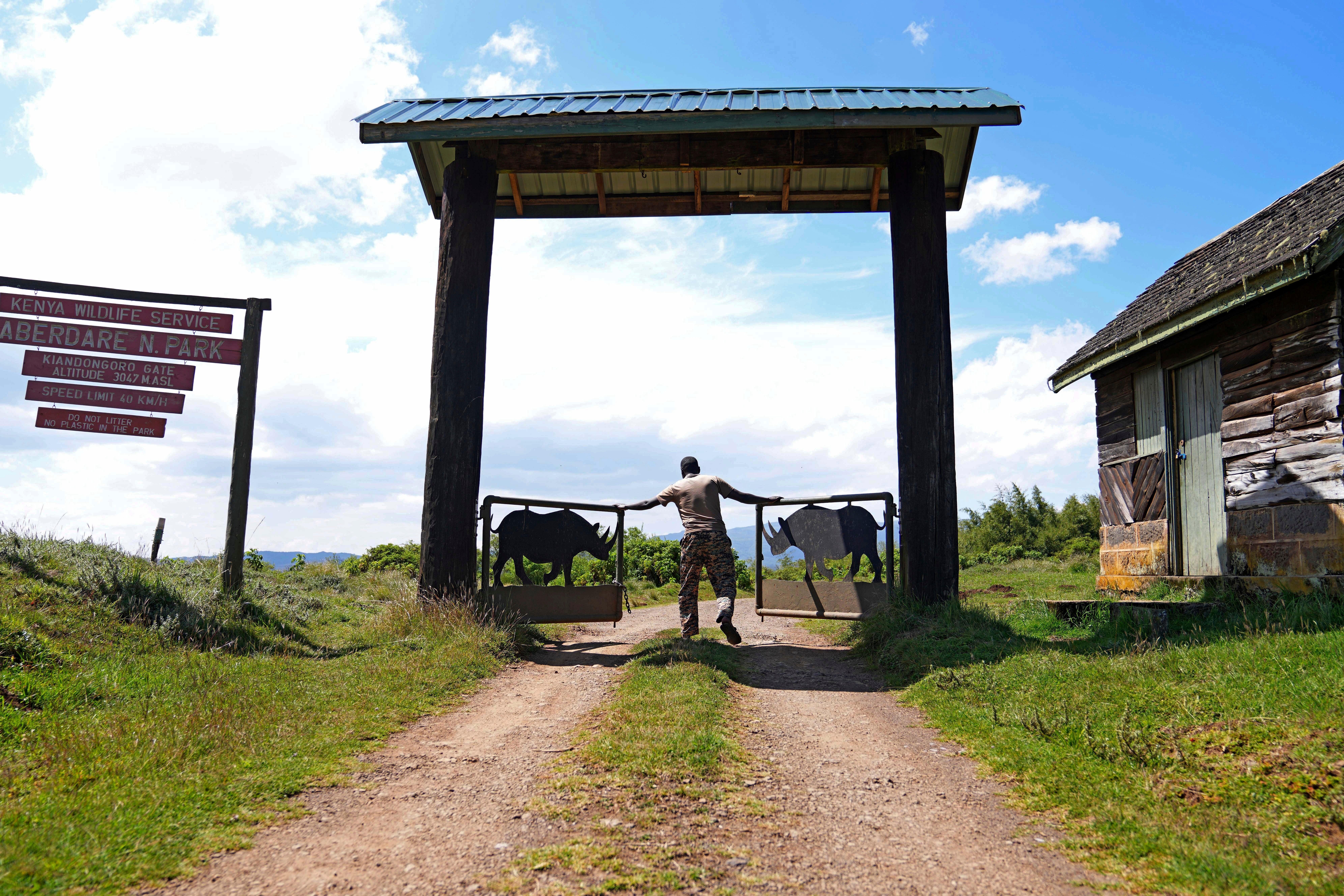 Climate Kenya Forest Road