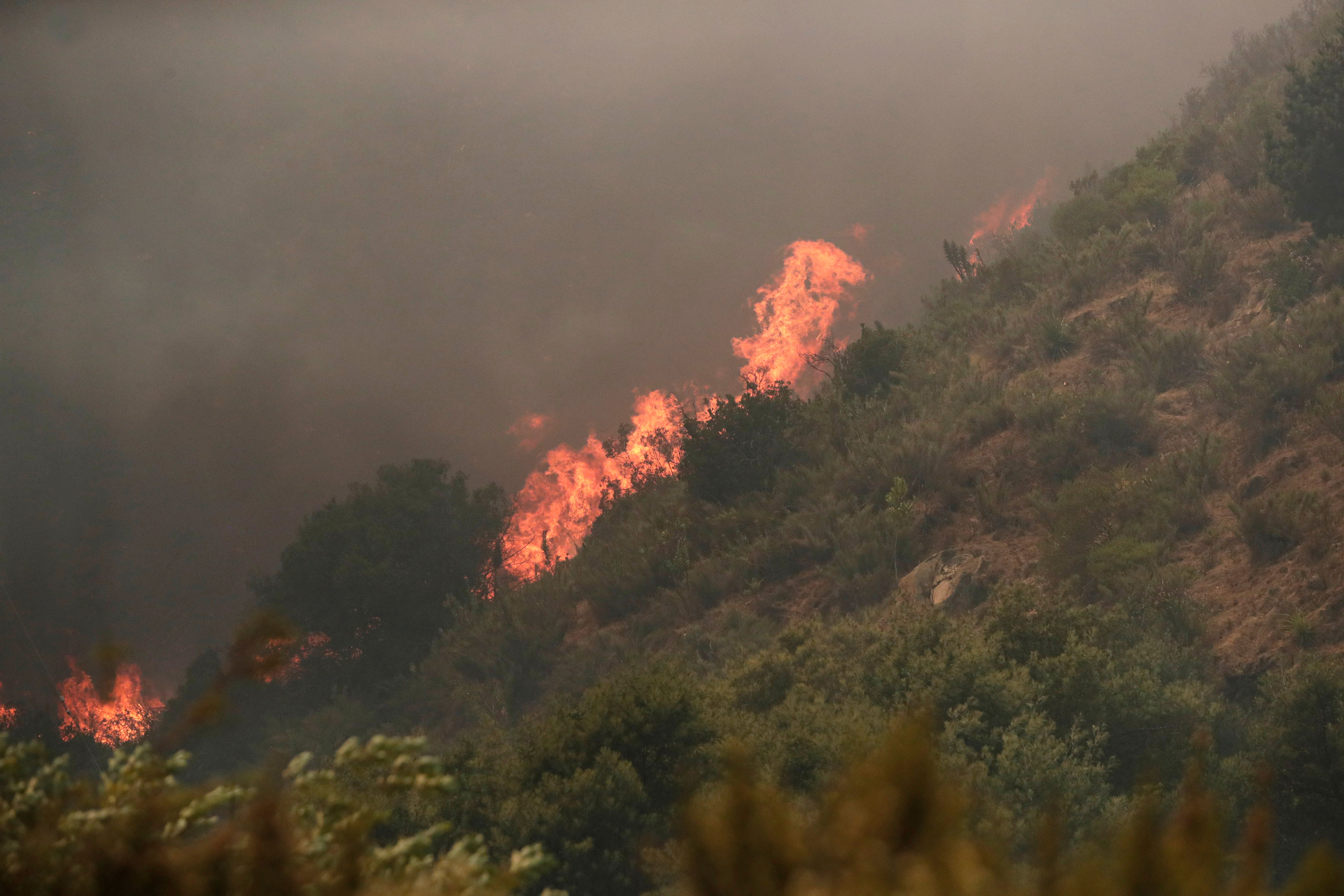 A fire burns a hillside during the forest fires affecting Vina del Mar, Valparaiso Region, Chile