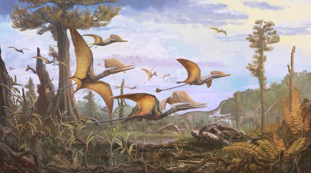 <p>An illustartion of pterosaurs</p>