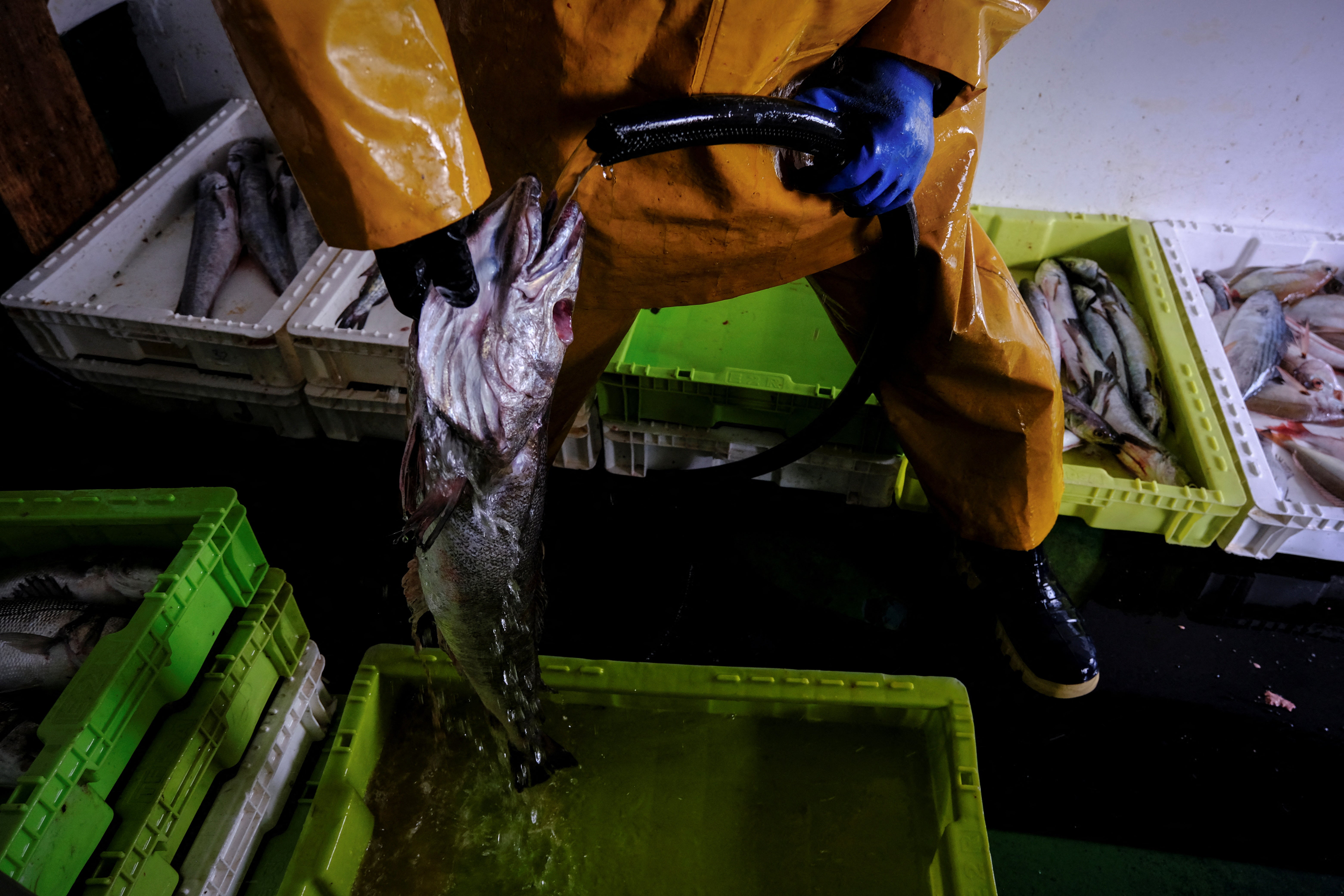 Mamadou Sarr, a fisherman from Senegal, uses salt water to wash the catch