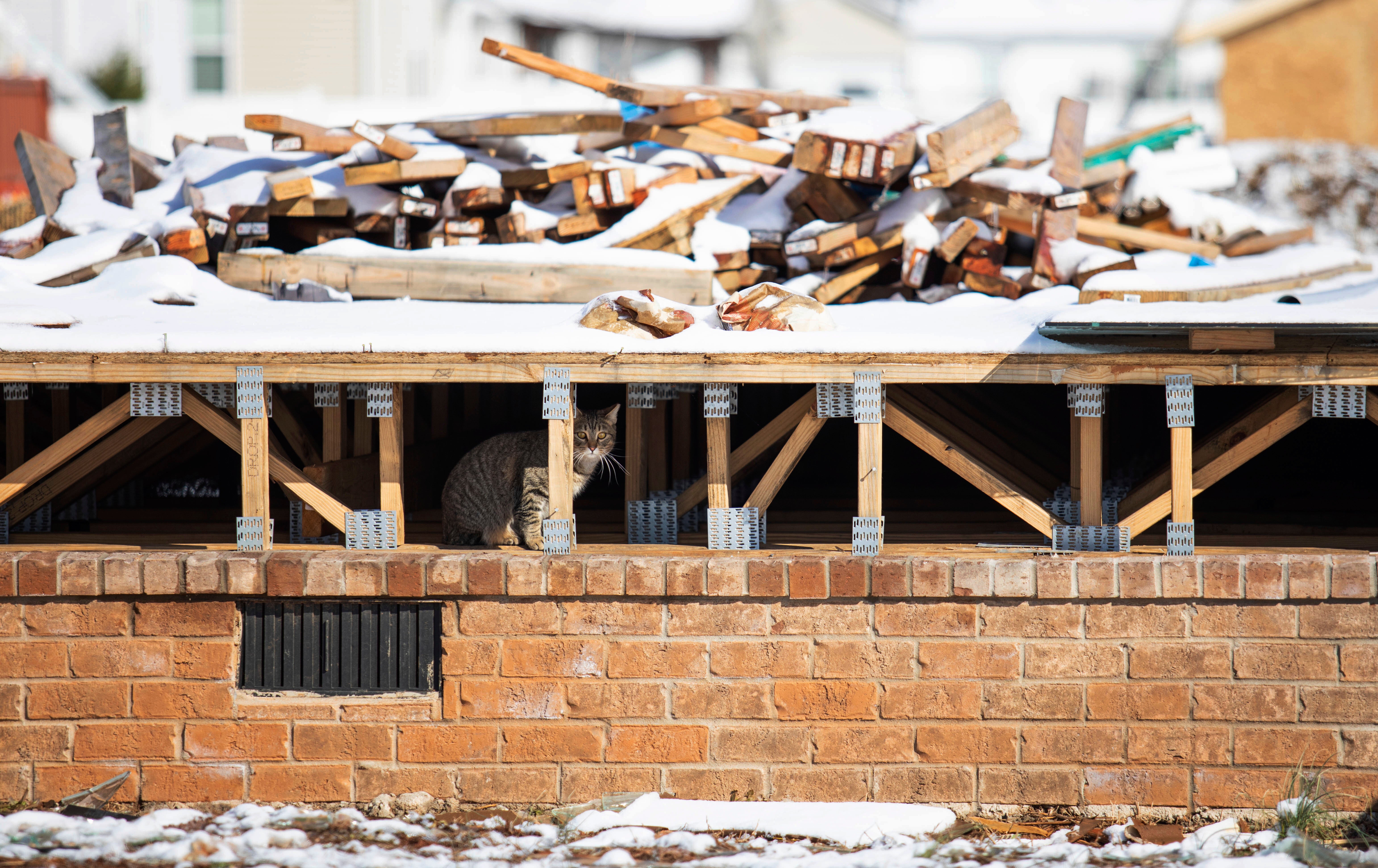 Philanthropy GoFundMe