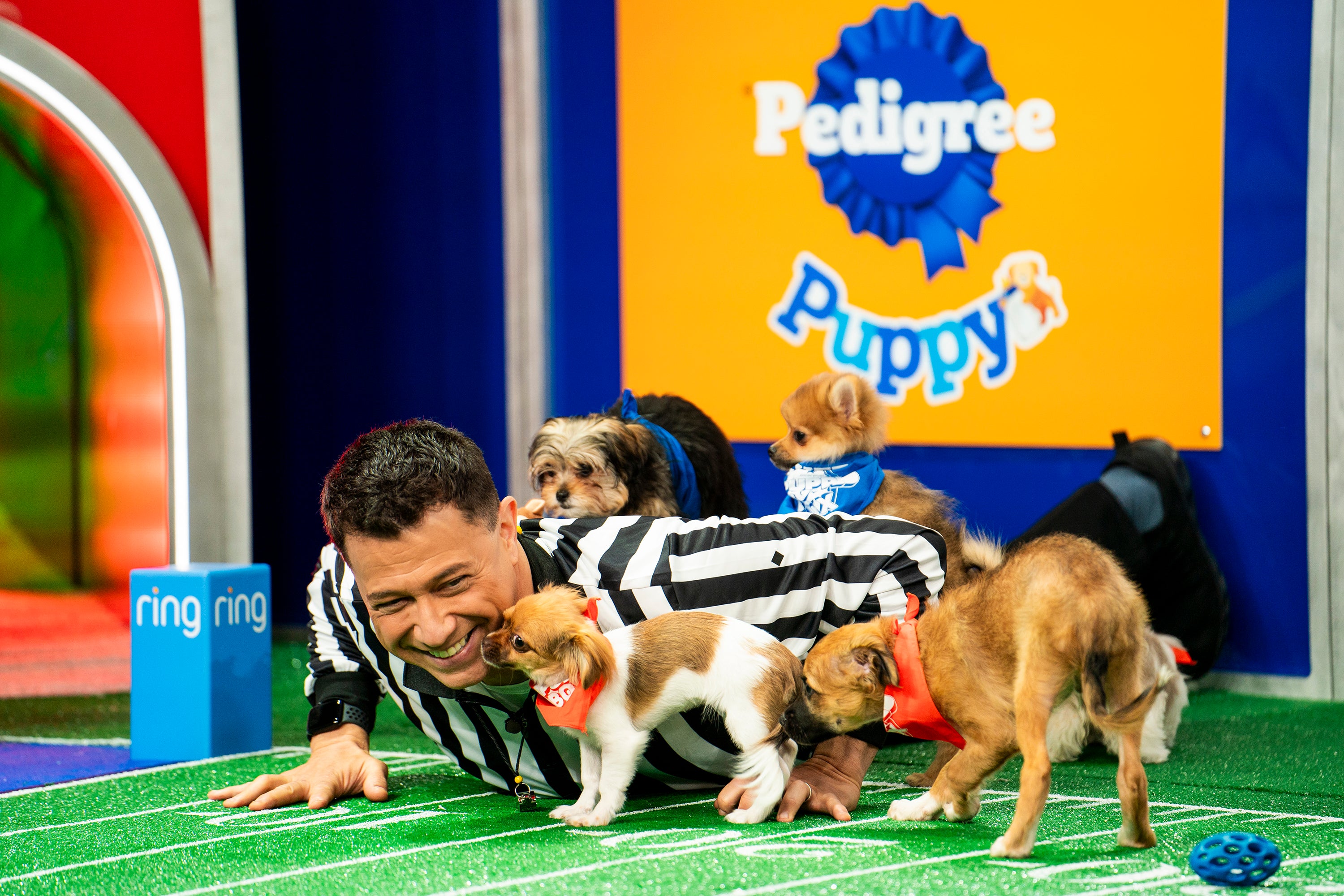 TV Puppy Bowl