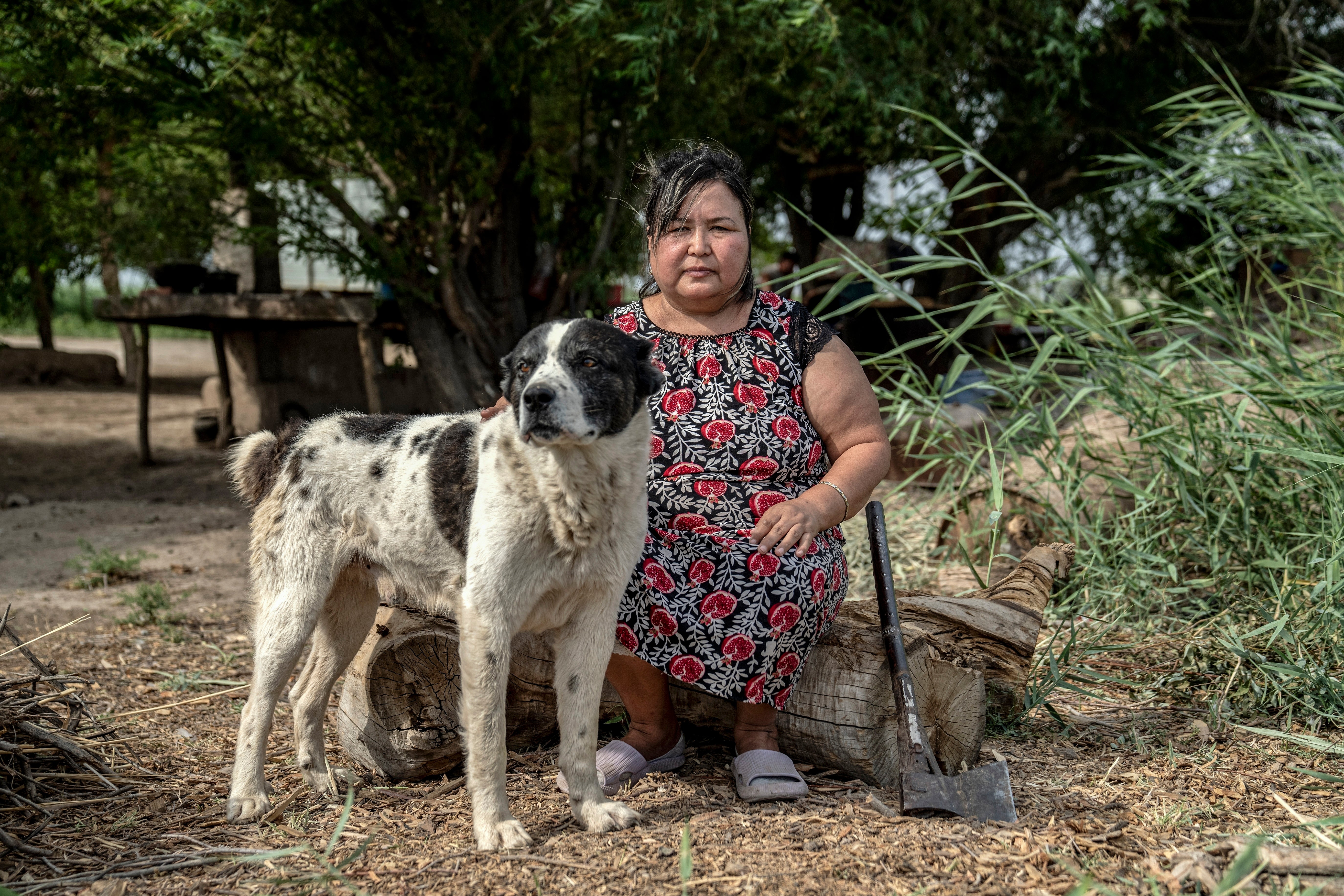 Aral Sea Demise Climate Change