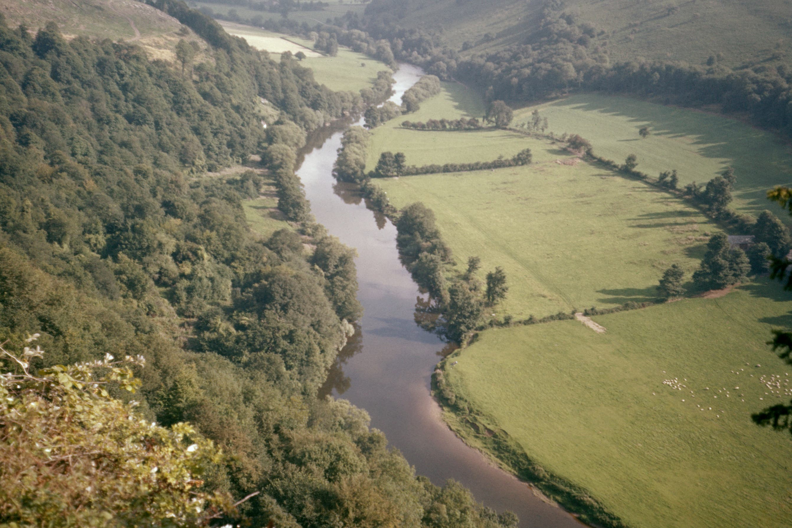 Welsh Water pleaded guilty to dumping excessive waste three times between August 2020 and June 2021.