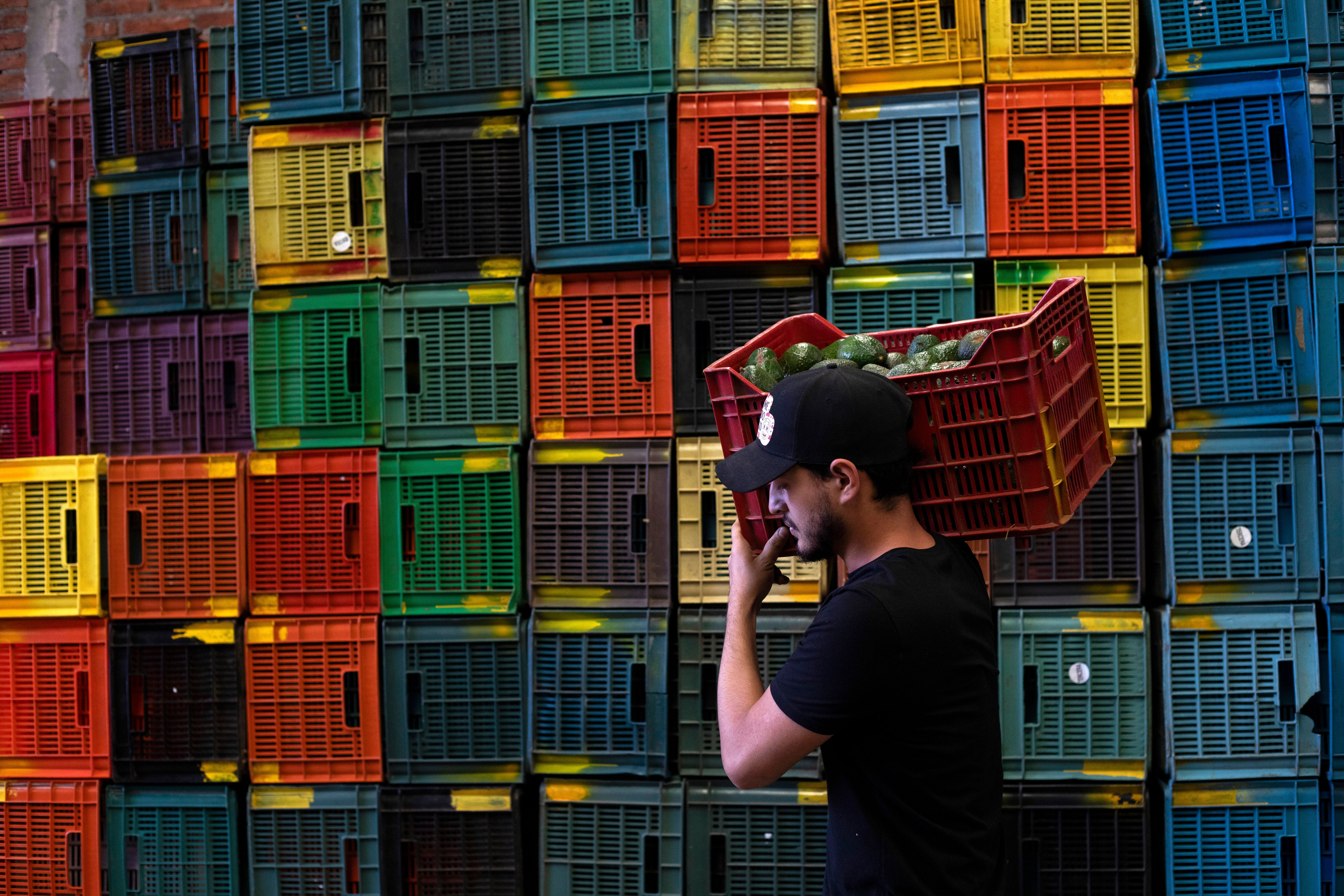 Mexico Avocado Problem