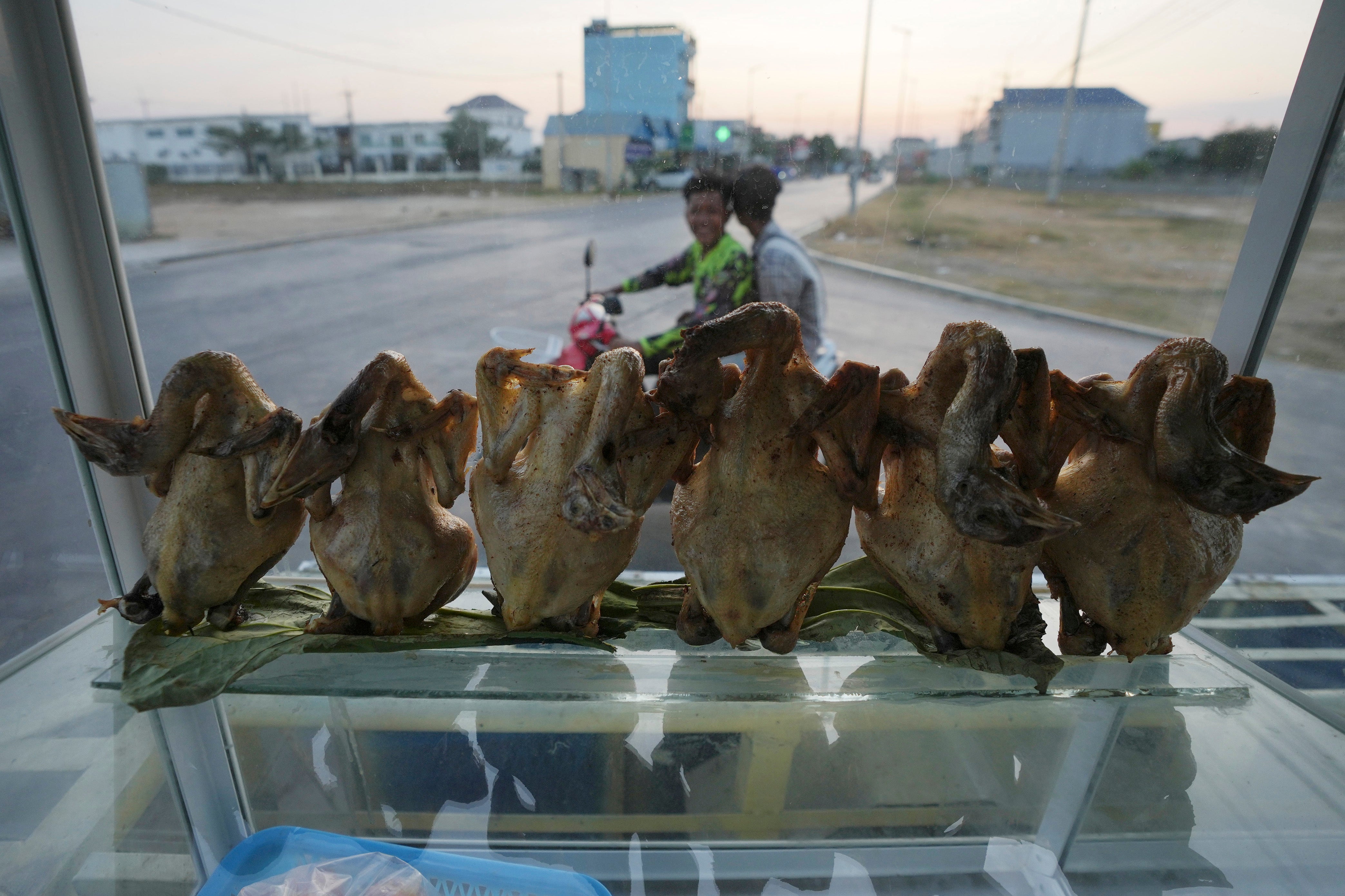 Cambodia Bird Flu