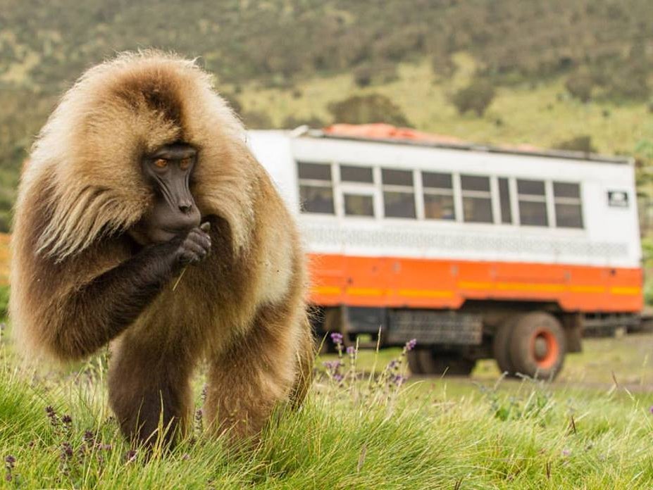 Truck watch: Dragoman adventure vehicle in Ethiopia