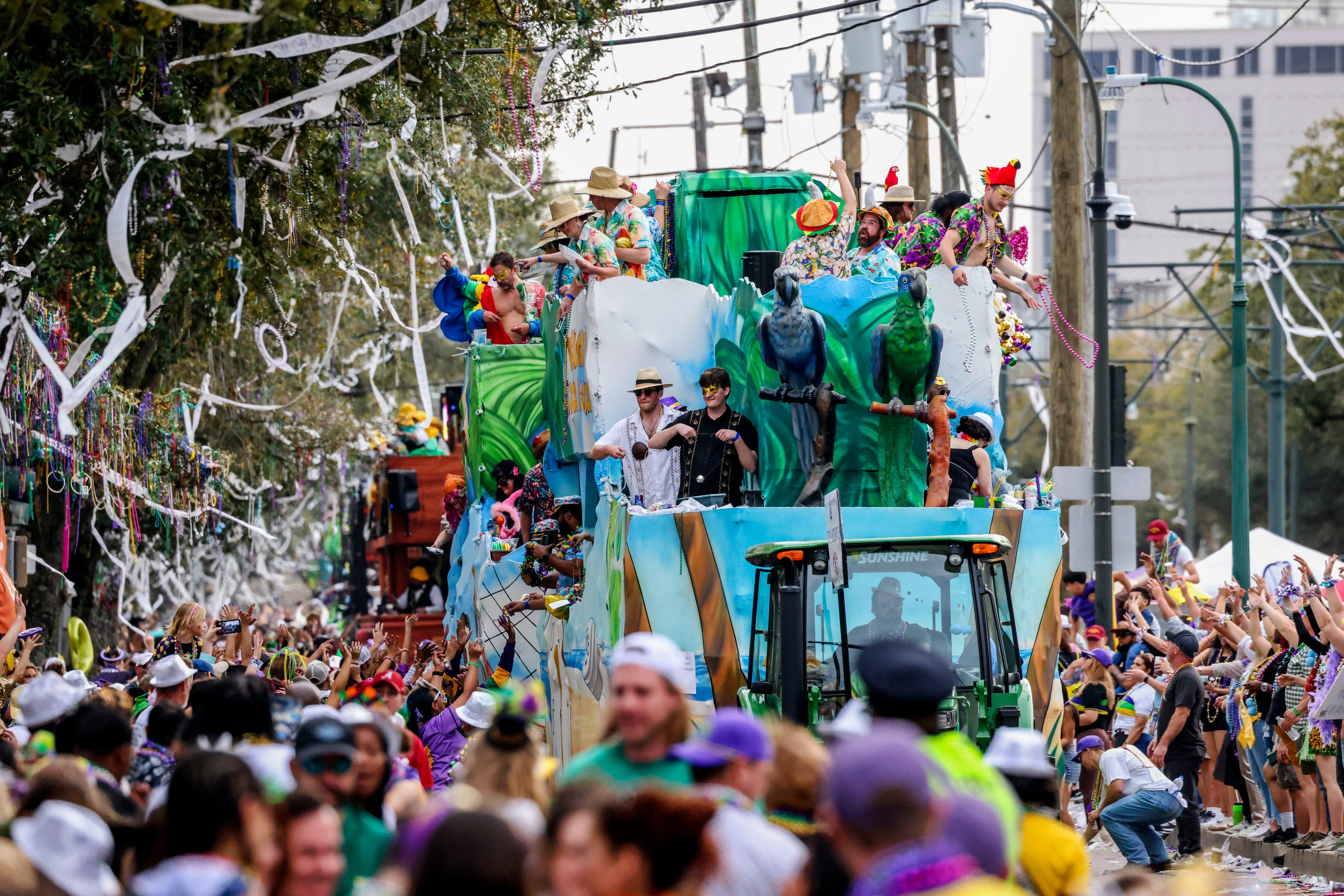 Carnival Photo Gallery