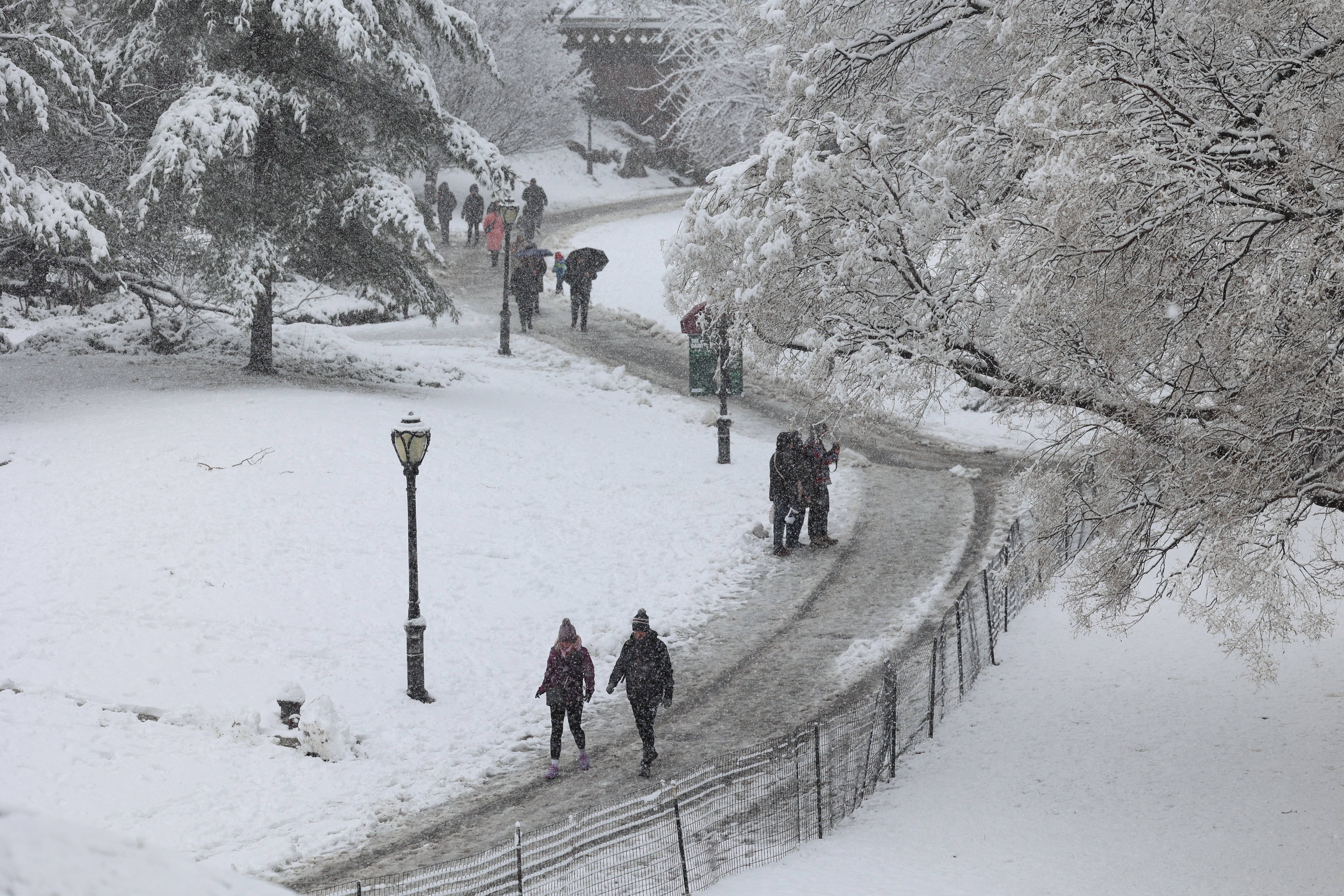 Central Park was coated in snow