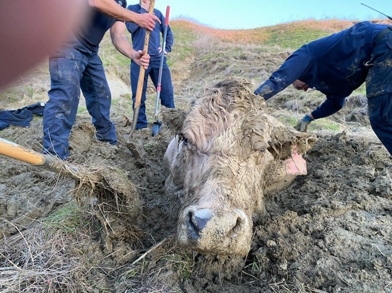 Rescue effort ‘involved digging, prying, rolling, and using wood planks for leverage’