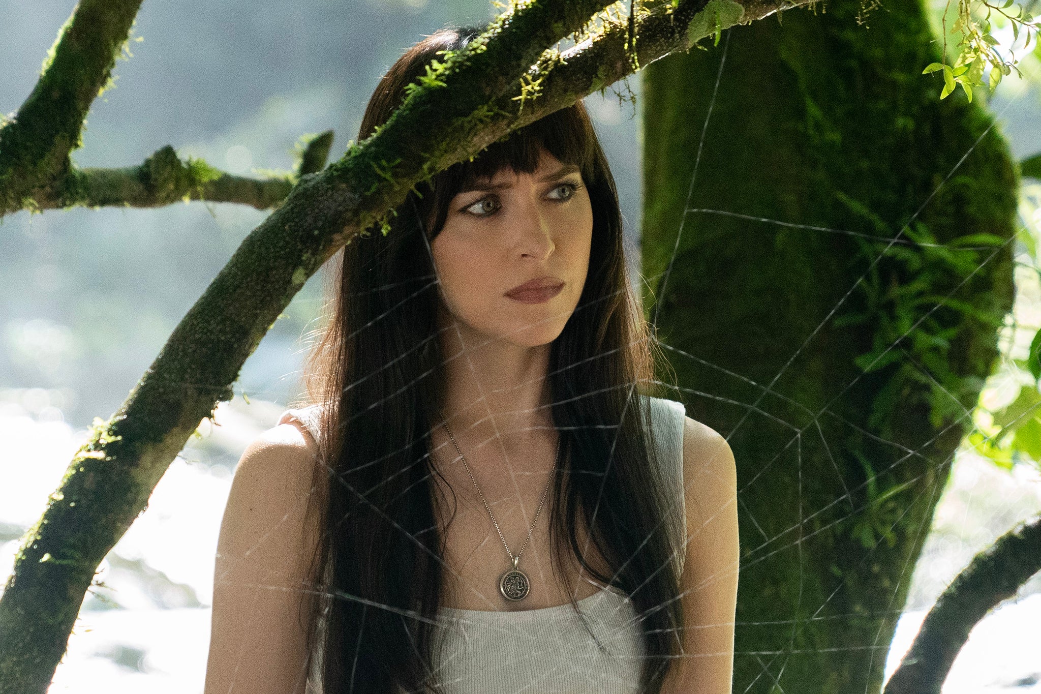 Spider hunter: Dakota Johnson in ‘Madame Web’