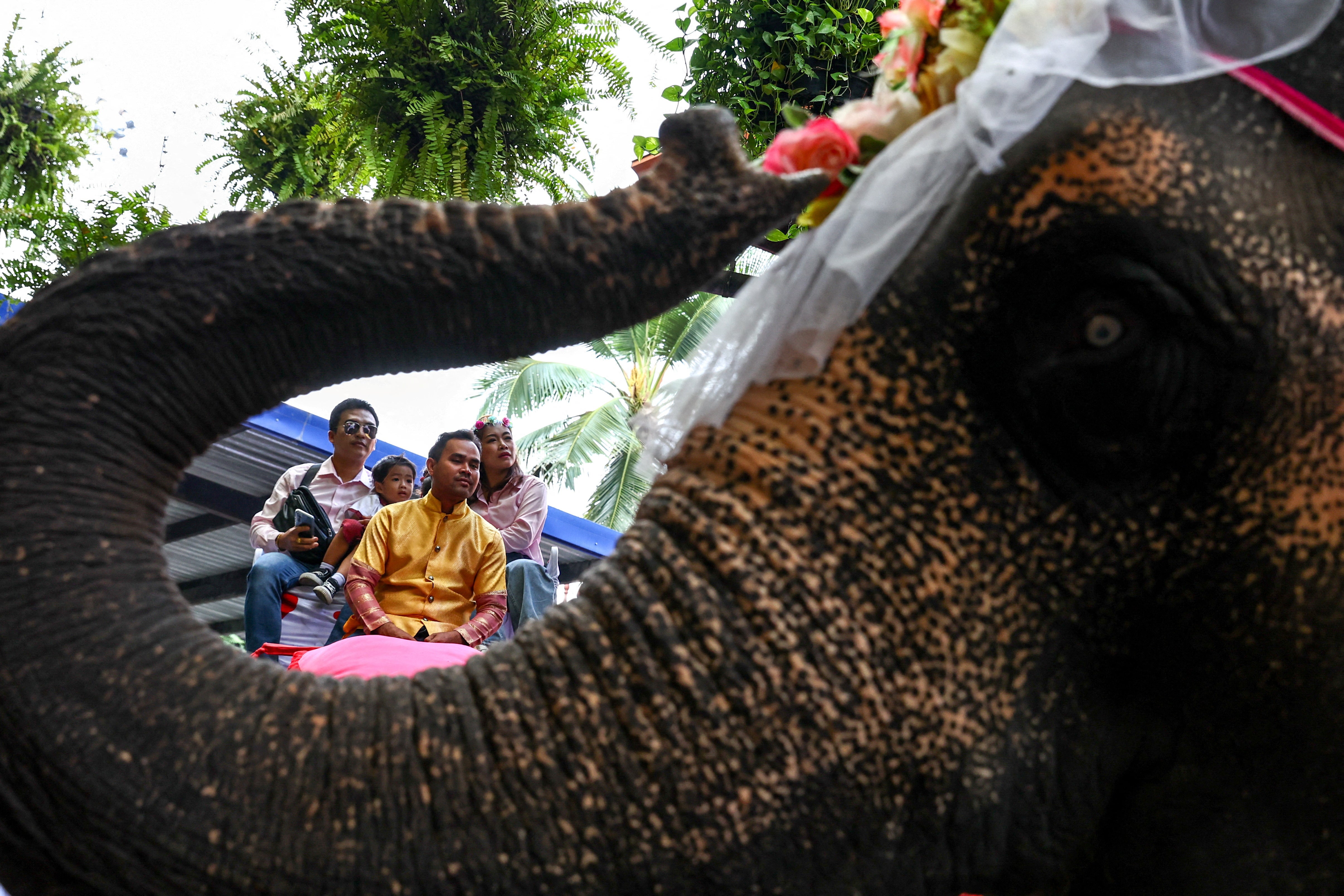 A couple rides an elephant at the Nong Nooch Tropical Garden in Chonburi province of Thailand