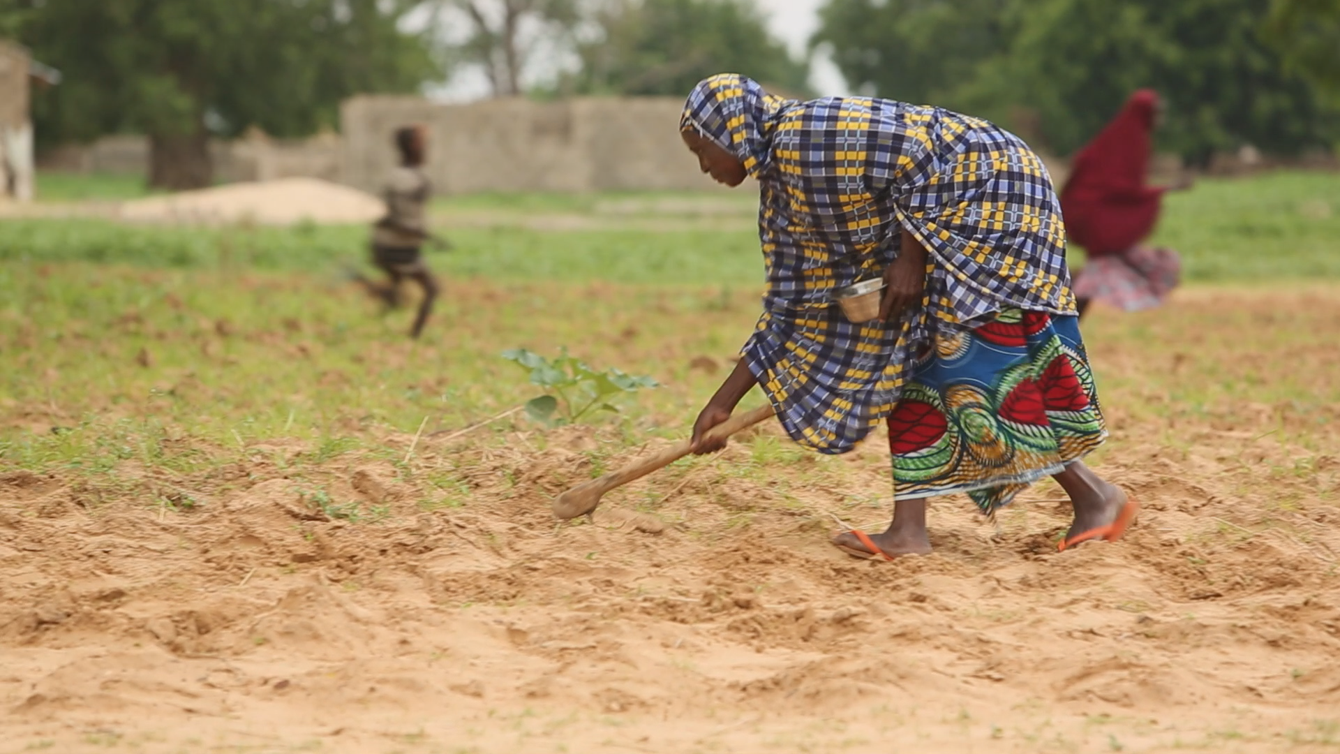 Elite Agro Holdings has invested in providing training on sustainable growing methods to rural African communities