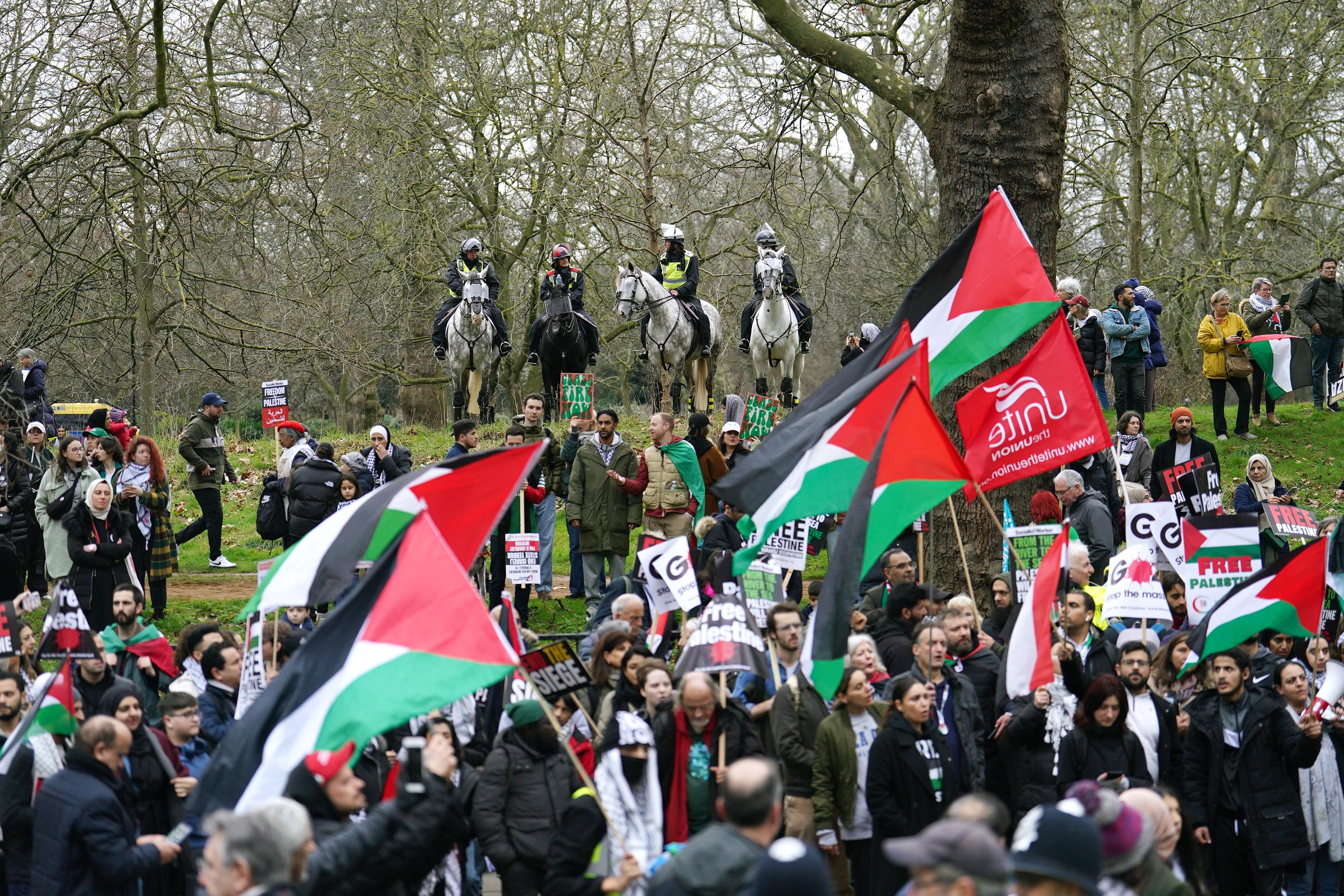 About 1,500 police from forces across the UK were on duty during the demonstration