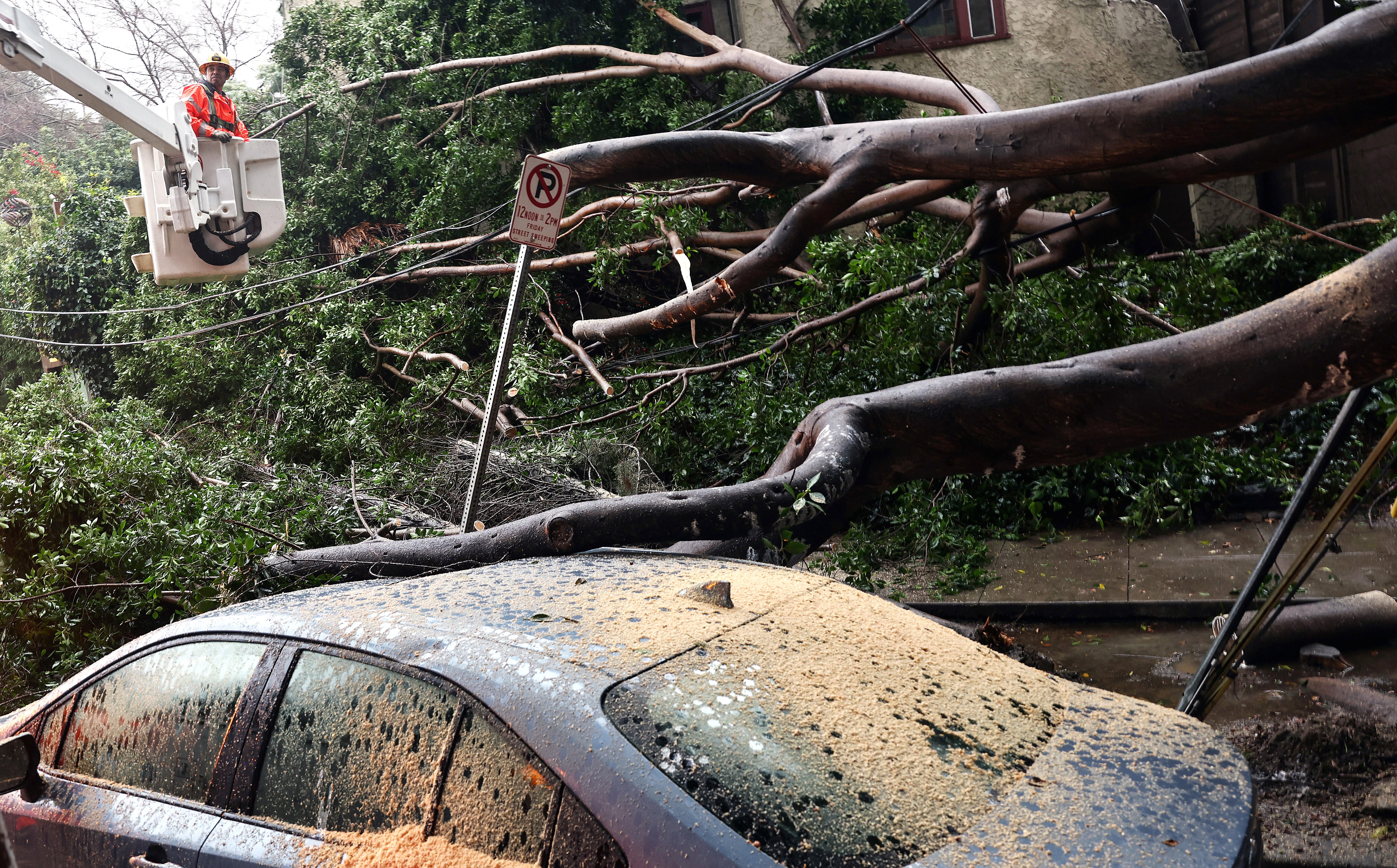 Officials clean up a large tree that fell in a Los Angeles neighbourhood, damaging vehicles and power lines on 19 February 2024