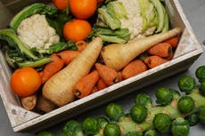 Healthy plant-based diets ‘cut risk of sleep apnoea’