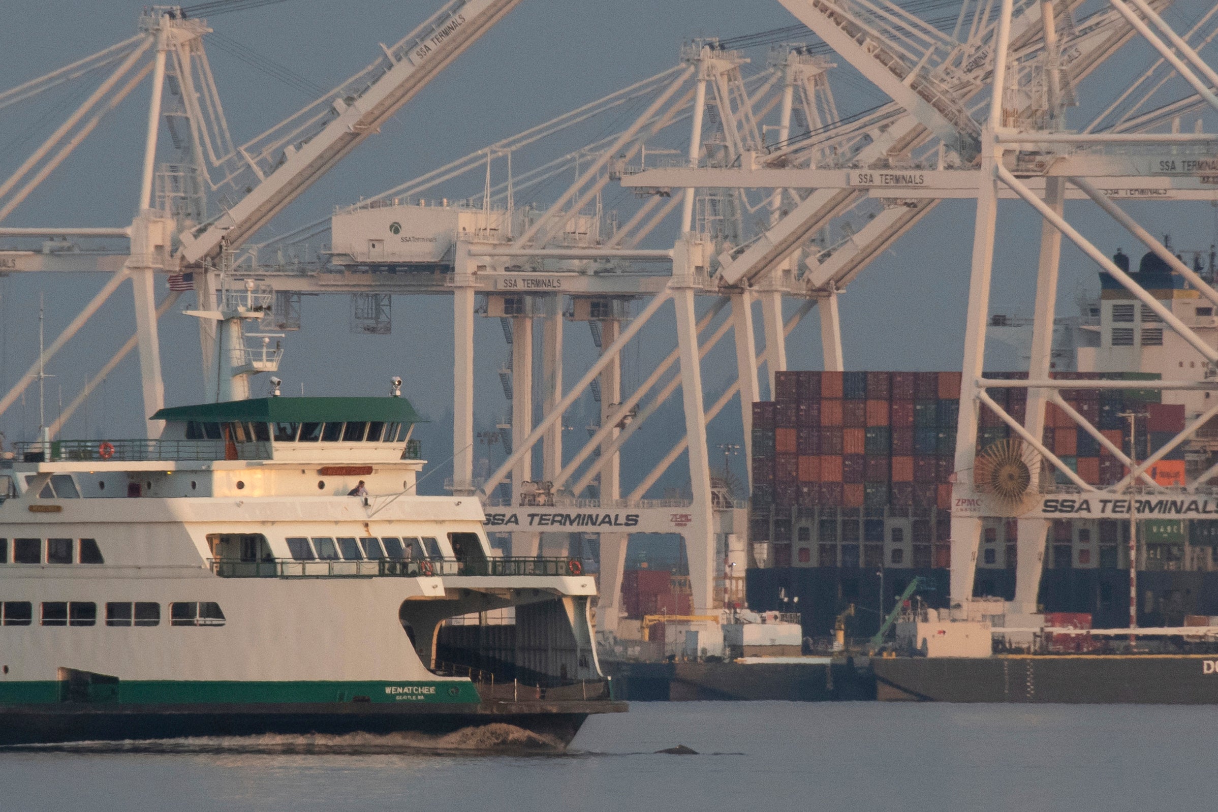 Whale Alerts Coast Guard