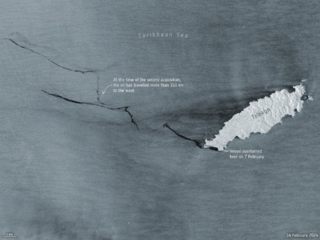 Satellite image from European Space Agency shows black slick of oil visible from space