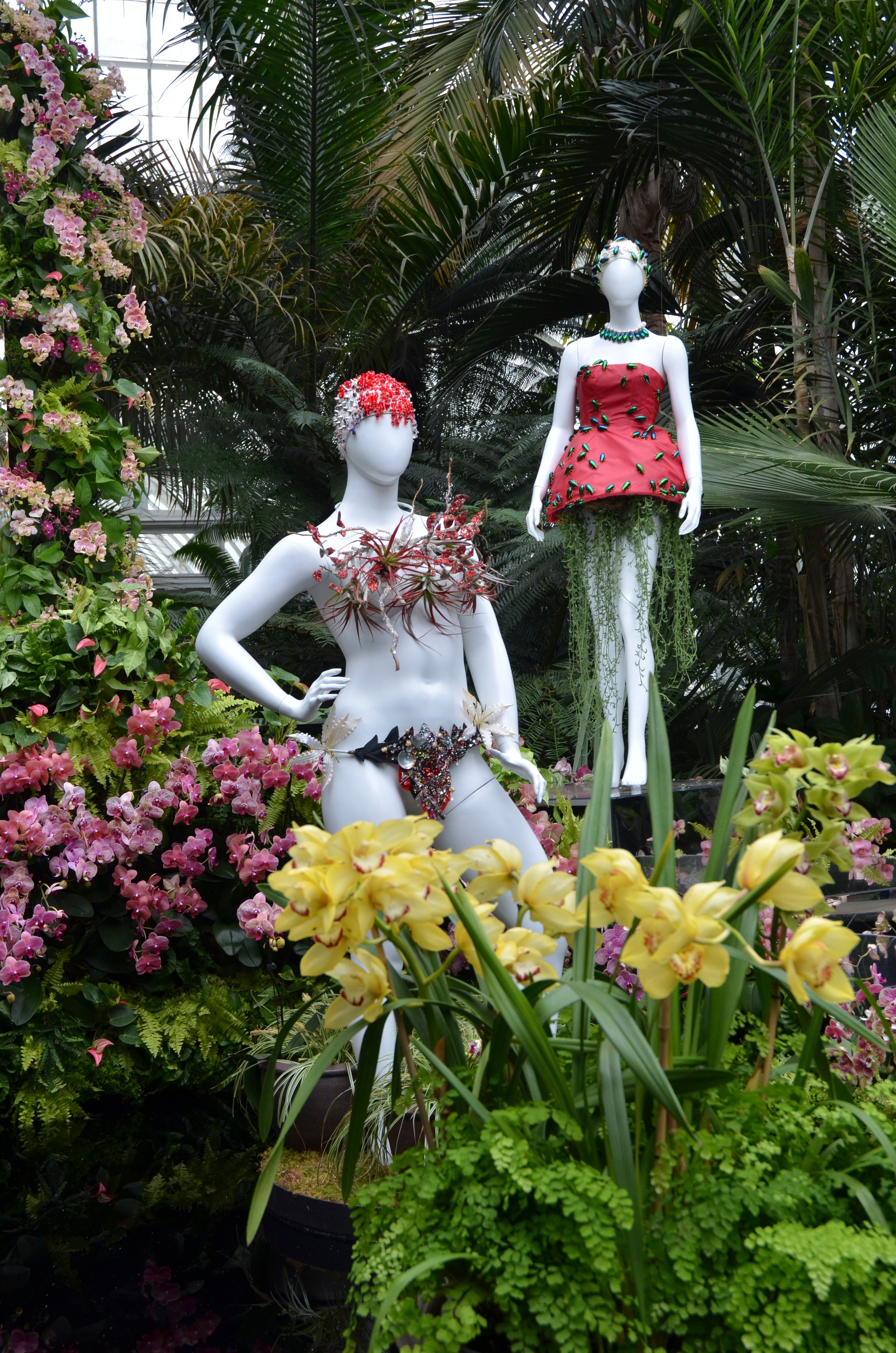 Orchid Show Fashion Photo Gallery