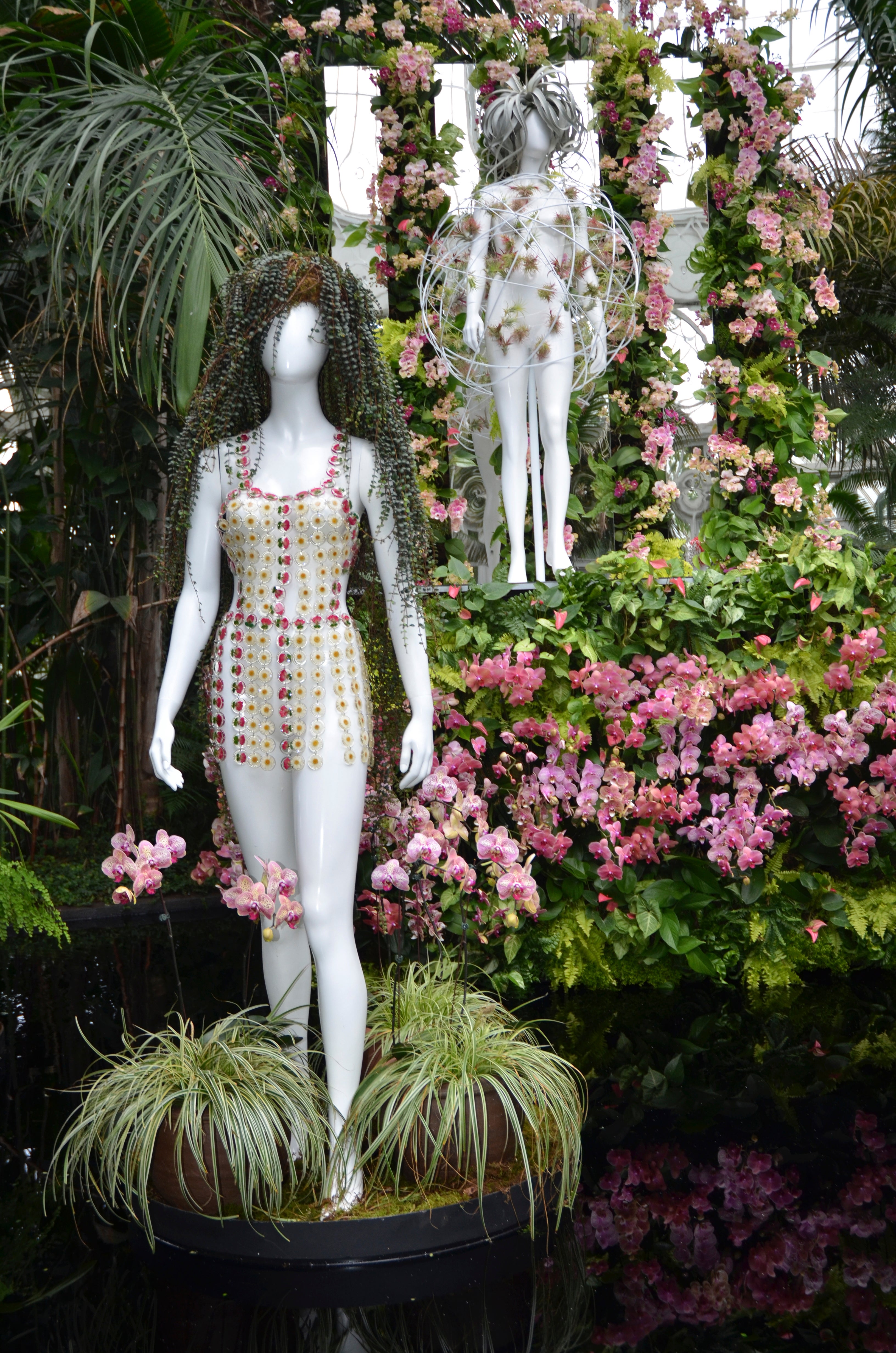 Orchid Show Fashion Photo Gallery
