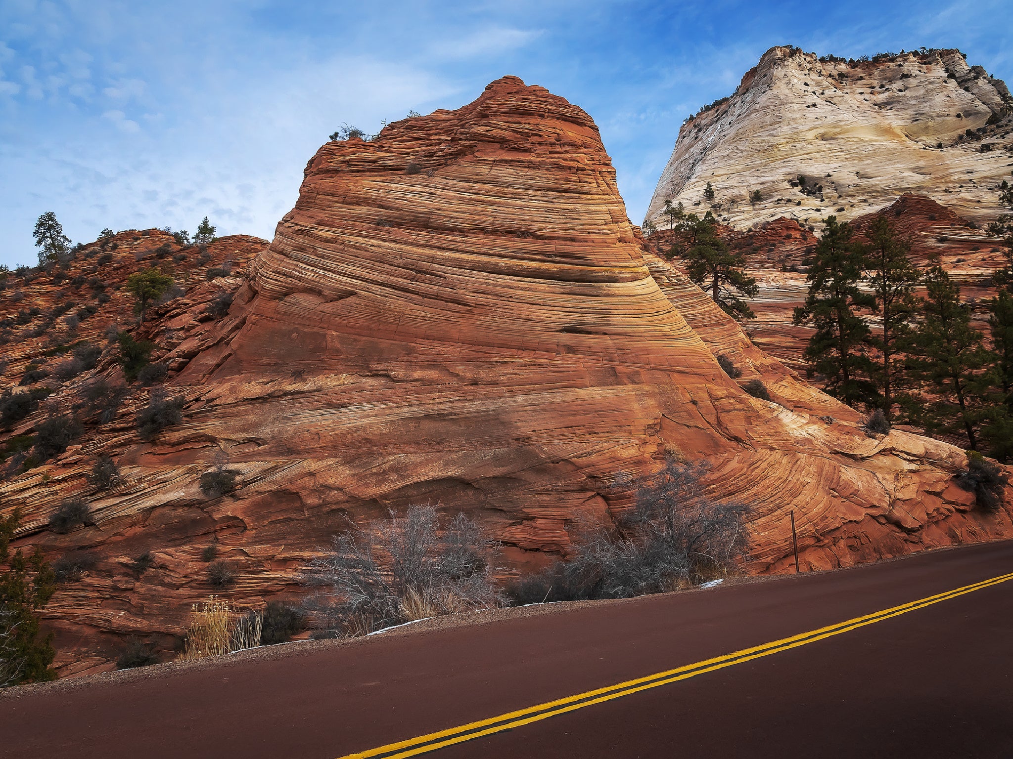 A road trip allows you to see the desert in detail