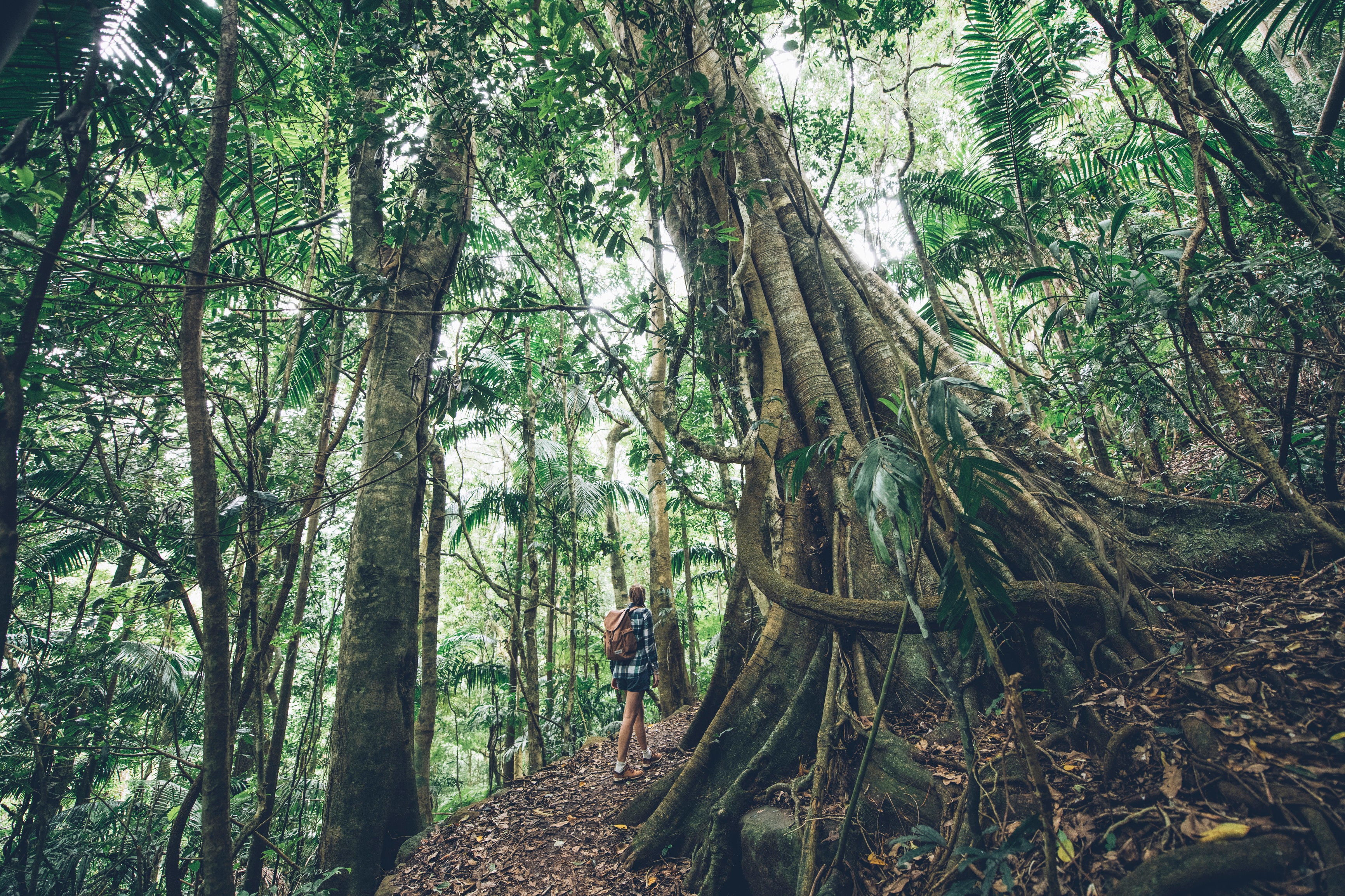 Otherworldly natural beauty is part and parcel of any trip to Queensland if you know where to look