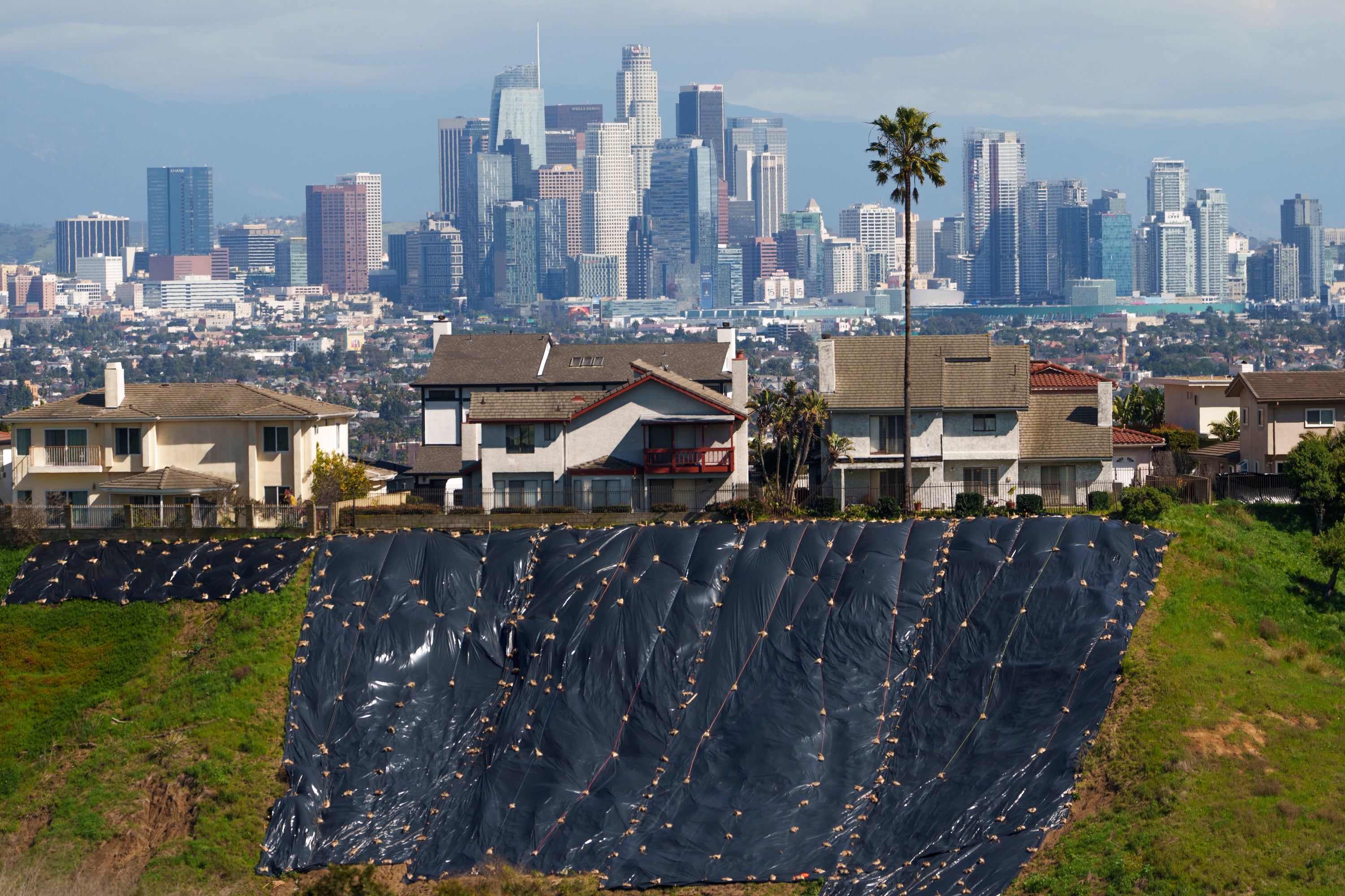 Multiple fault lines run through or near major parts of the Los Angeles metropolitan area