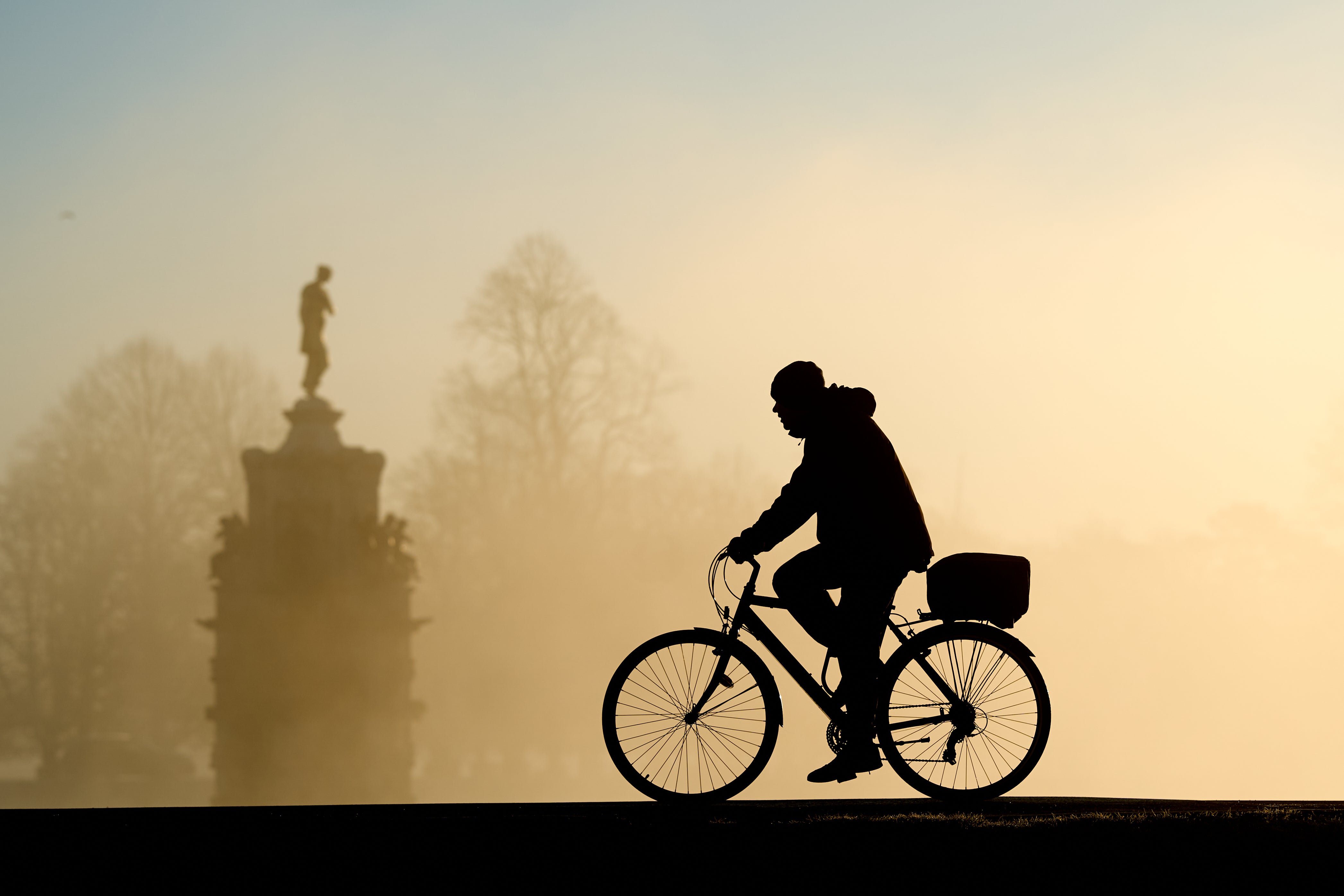 A person cycling in Bushy Park in London