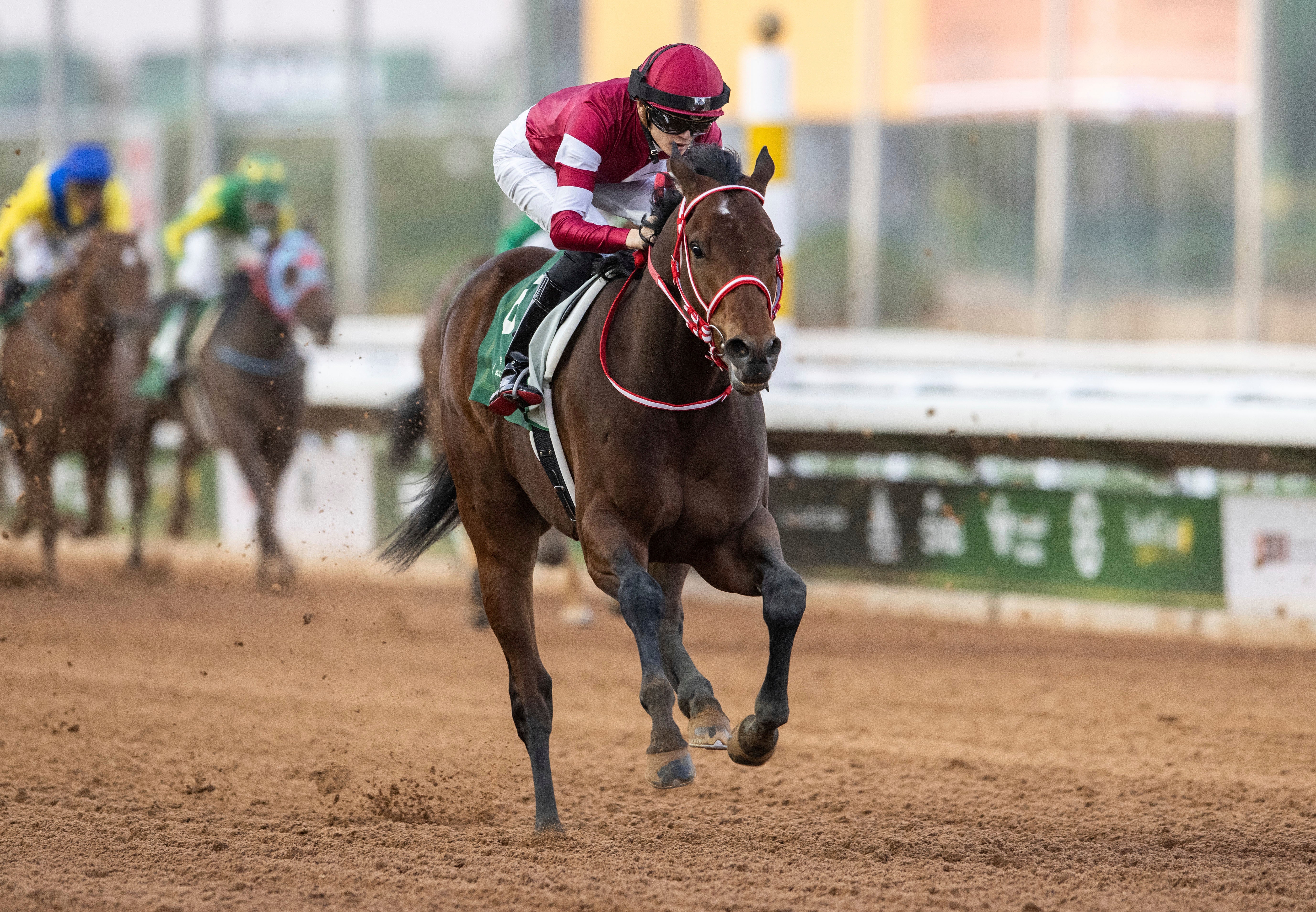 Forever Young with jockey Ryusei Sakai wins G3 Boutique Group Saudi Derby over 1600m at the King Abdulaziz racetrack in Riyadh, Saudi Arabia