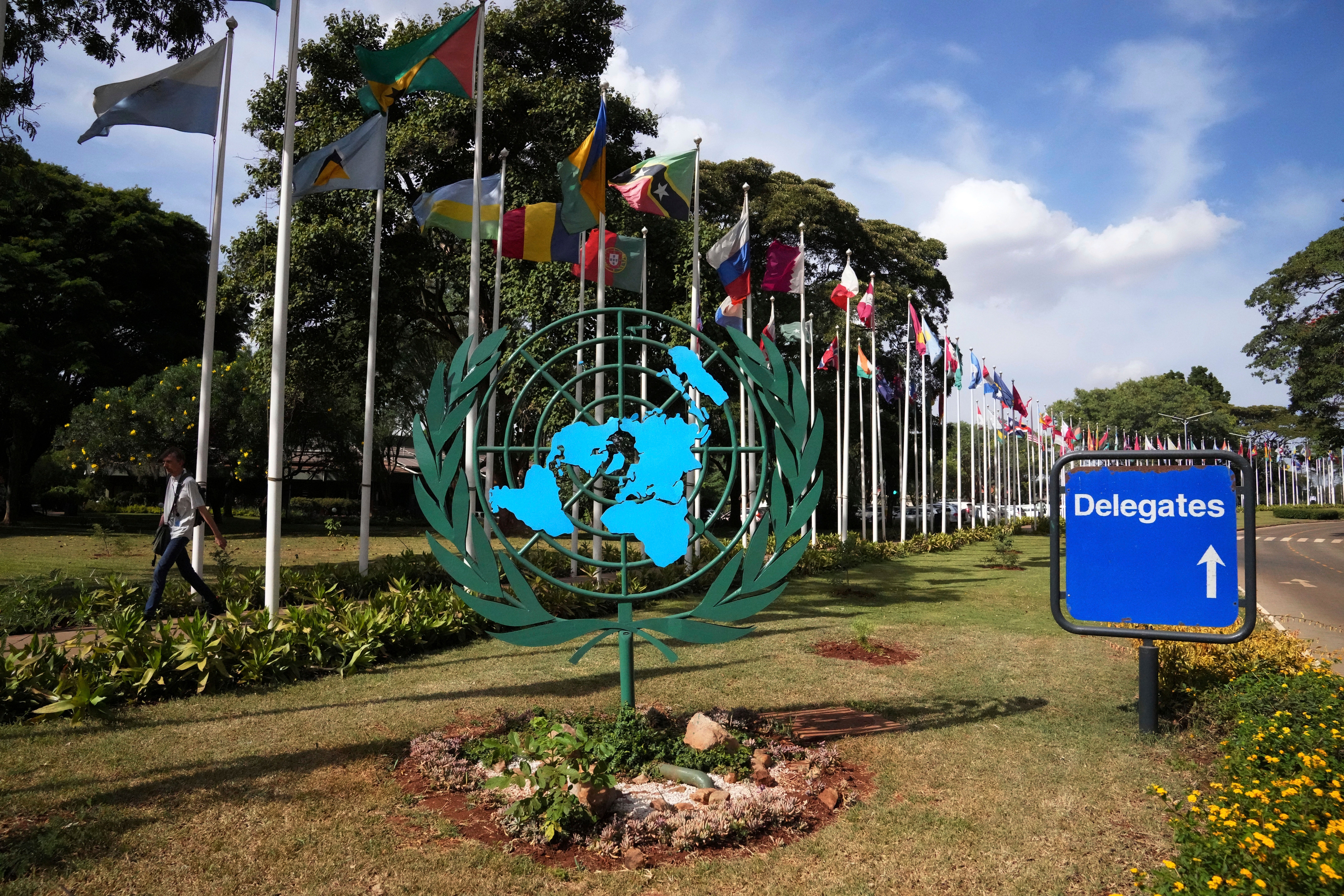 United Nations Environment Assembly