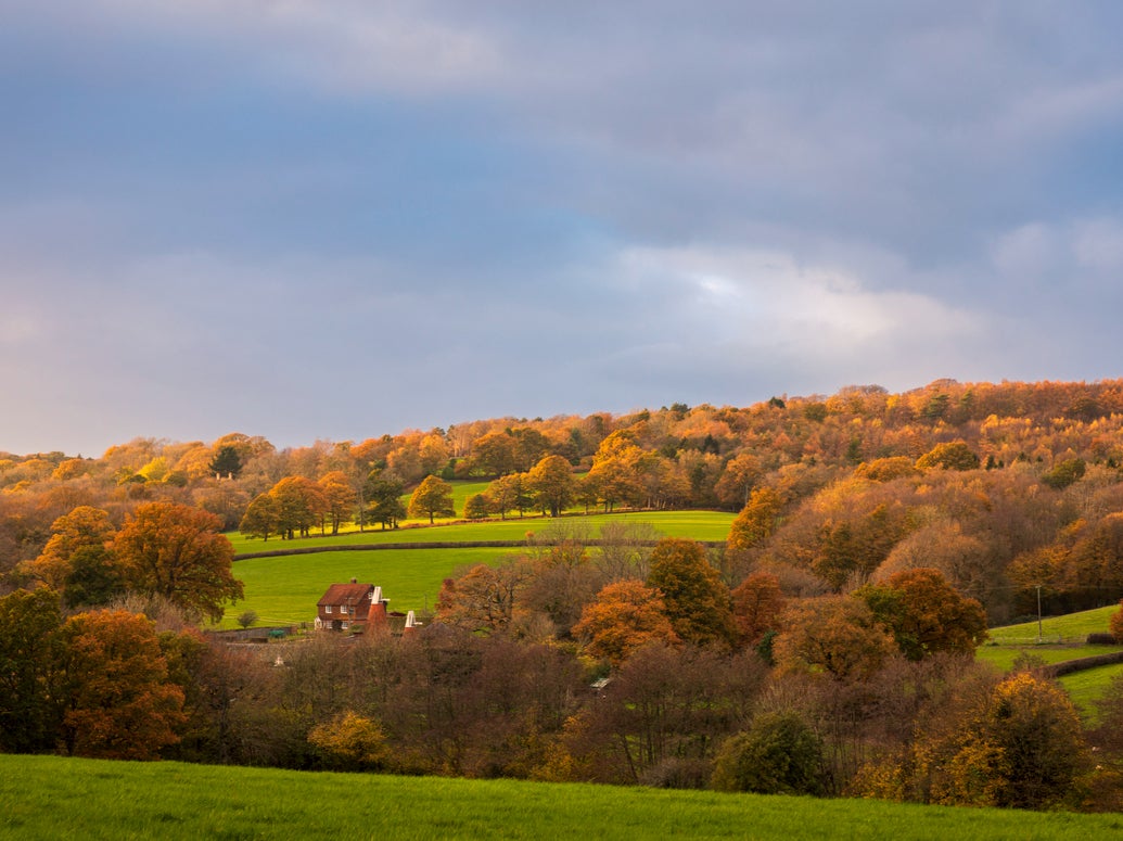 Head to High Hurstwood for breathing exercises and emotional positivity