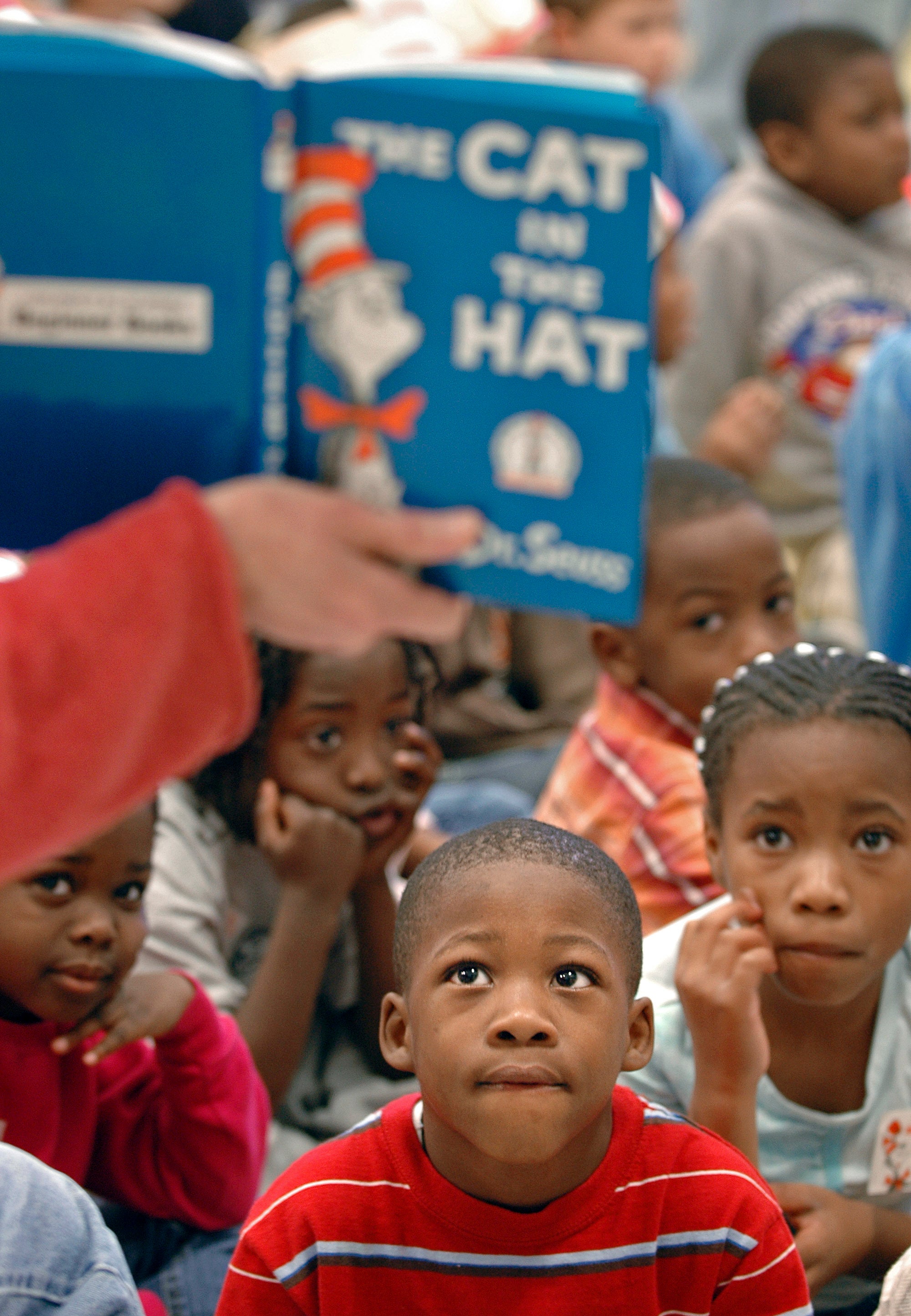 Cat in the Hat Giveaway