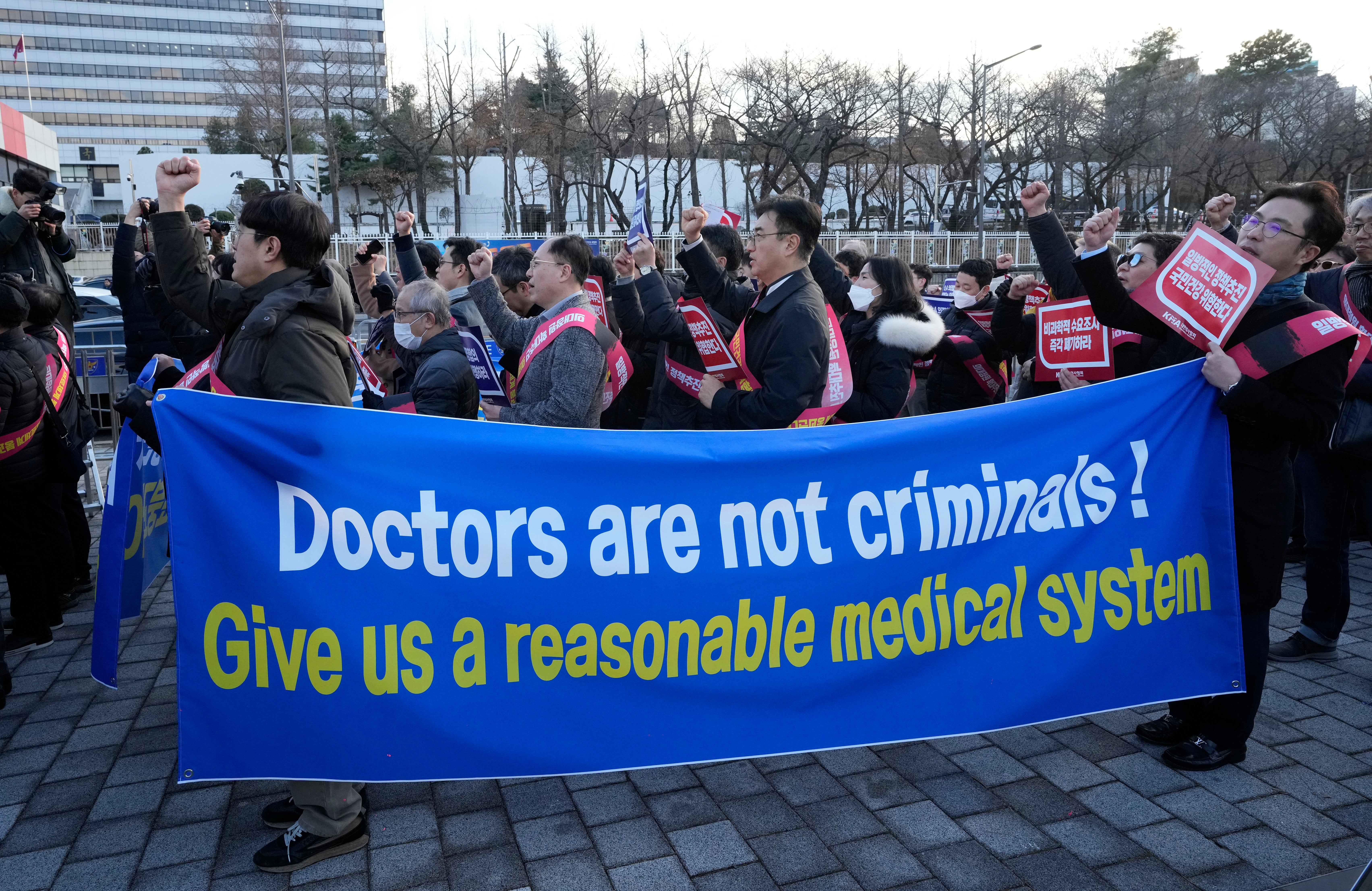 South Korea Doctors Protest Explainer