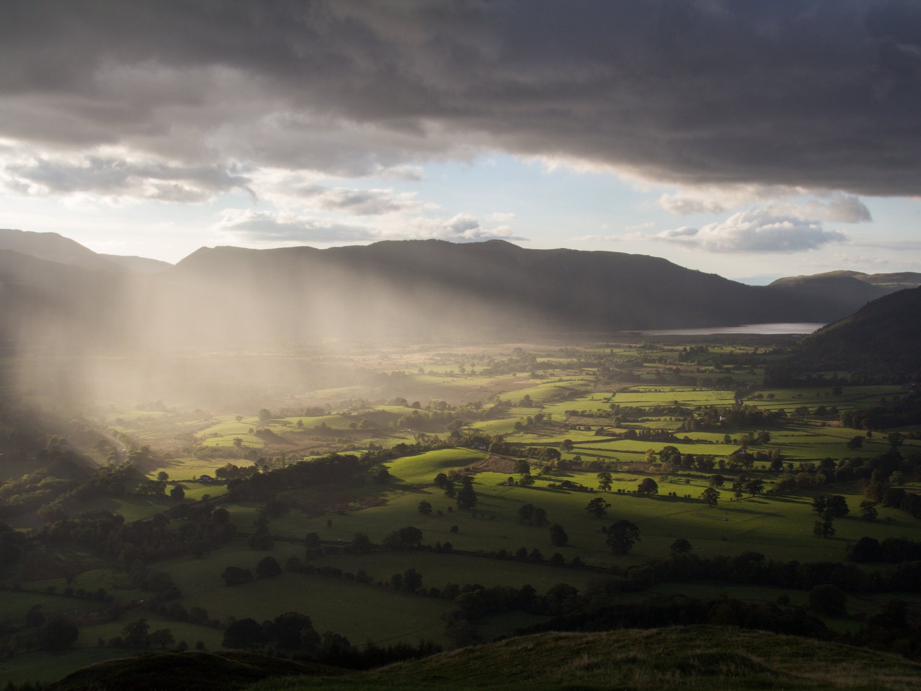 Bassenthwaite Lake is home to the Lake District’s first ever wetland nature reserve