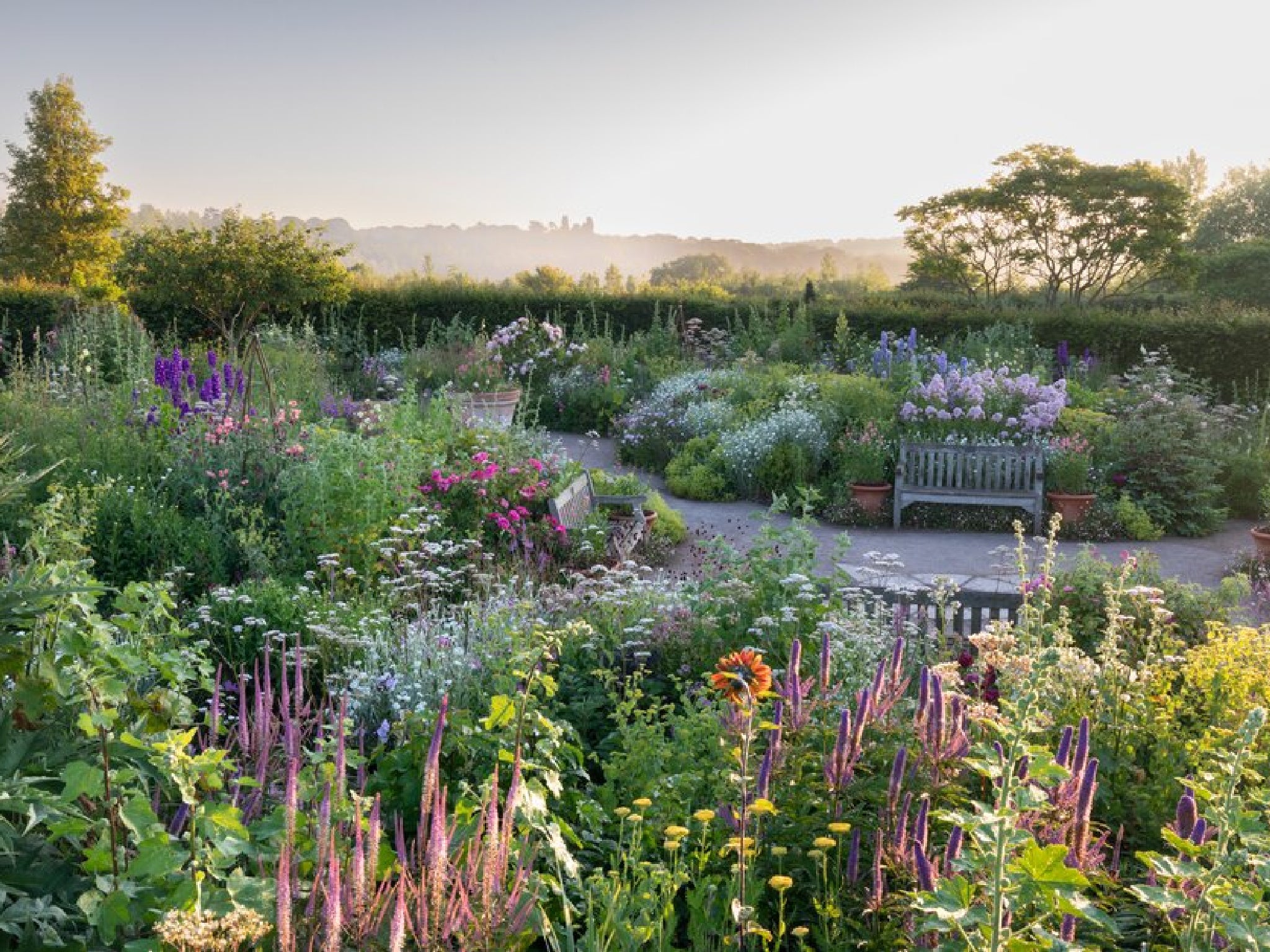 The Cottage Garden, RHS Garden Hyde Hall has an abundance of colour and plant variety