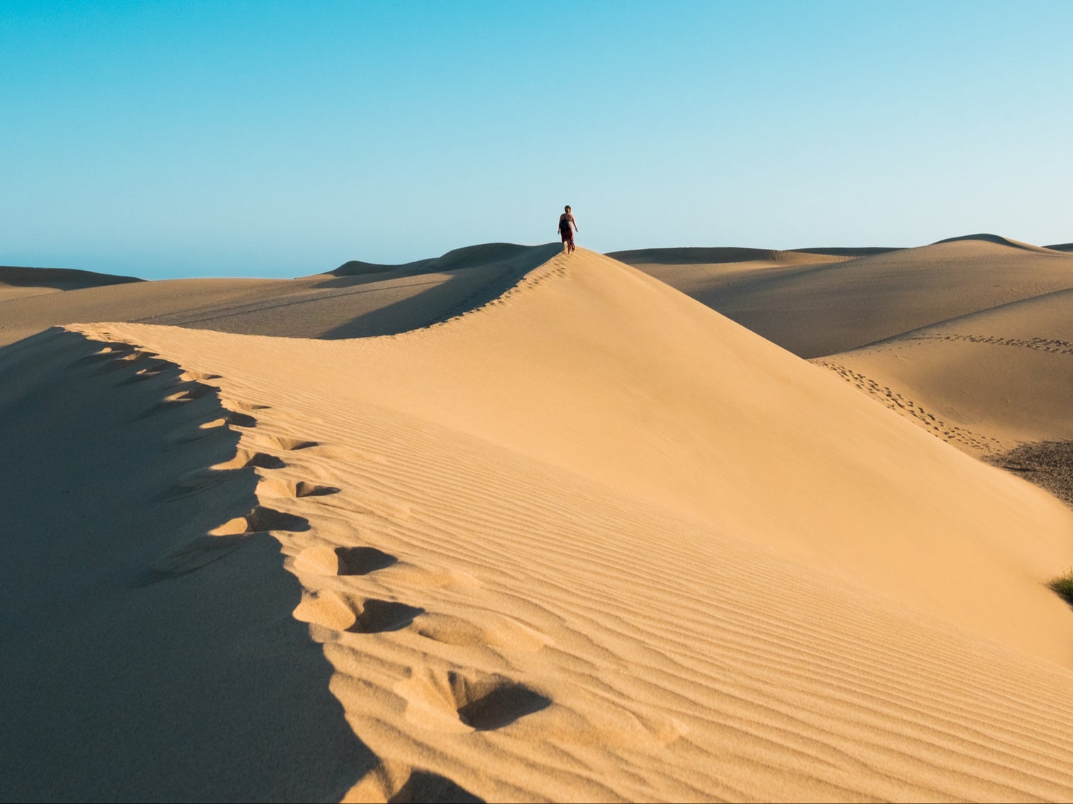 Dozens of people have damaged the landscape of a protected sand dune in Spain