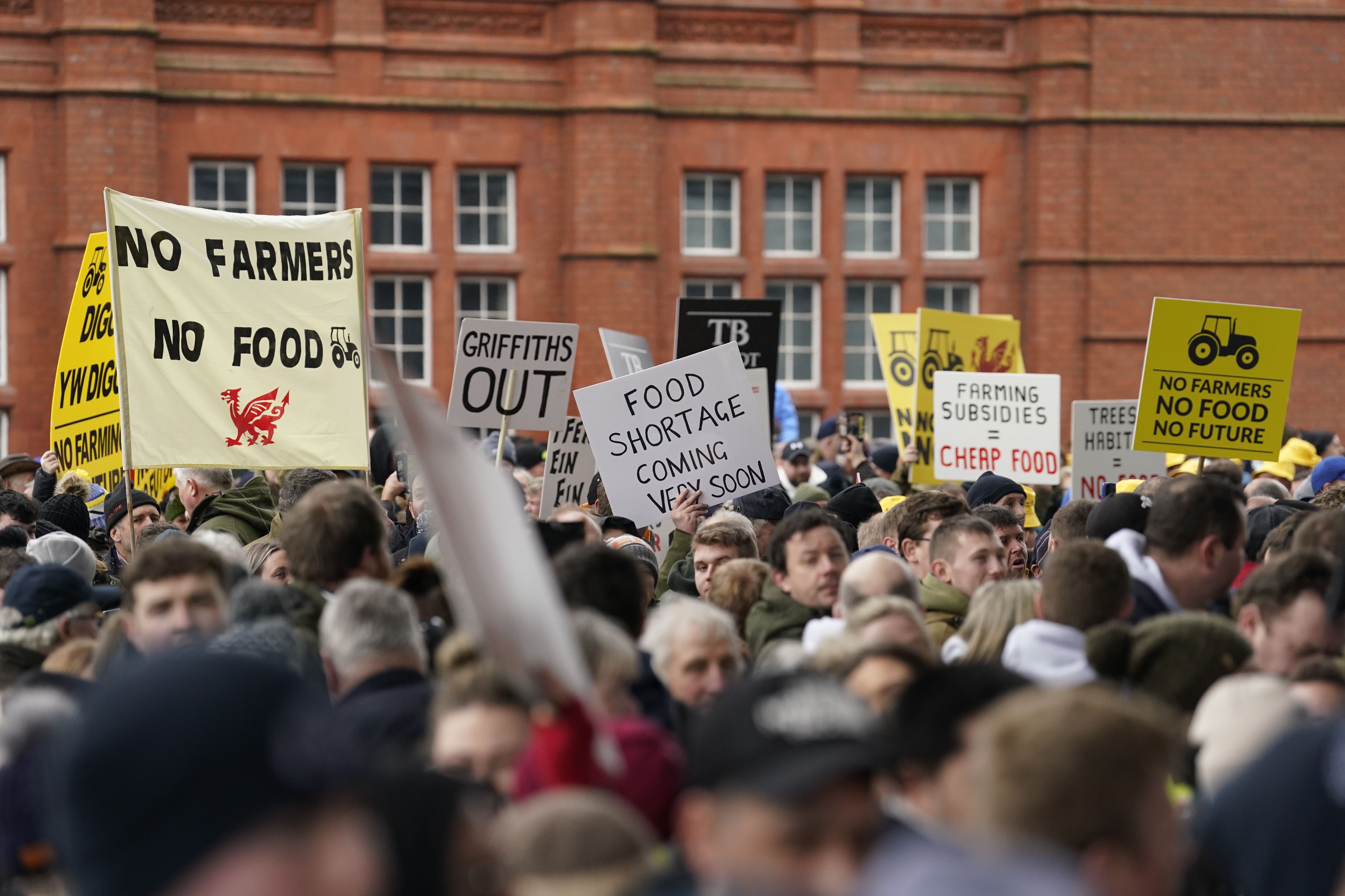 Farmers protest outside the Senedd in Cardiff over planned changes to farming subsidies (Andrew Matthews/PA)