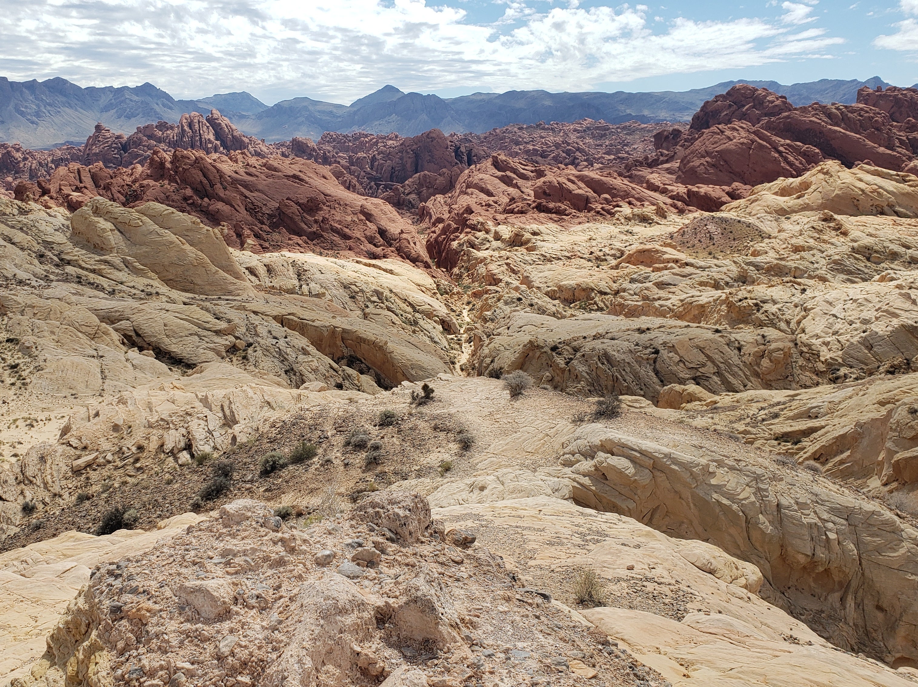 The other-worldly look of Valley of Fire State Park